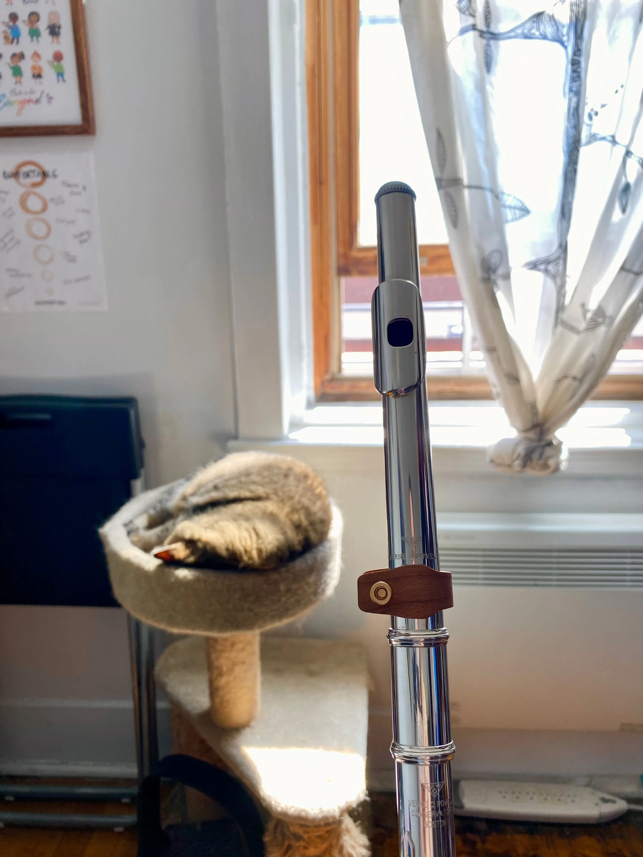 It may be hot and muggy outside (and inside) but a flute must get practiced!!! (Cabbi did not stay for very long once I started playing lol)

I find it so hard to play in the heat but I also find it so hard to play in the cold so either way I lose by