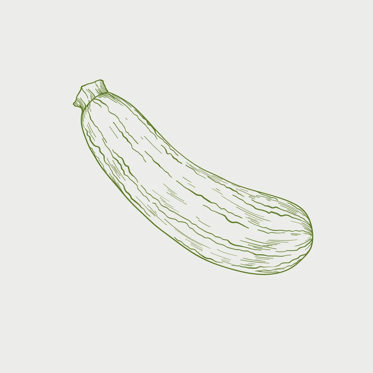 Illustration einer Zucchini auf hellem Hintergrund.