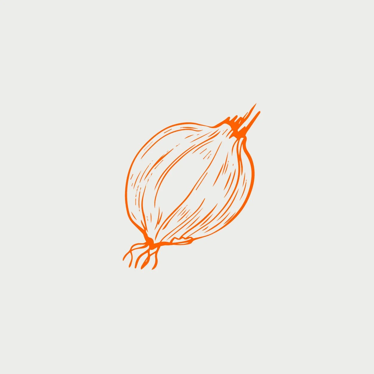 Illustration einer Zwiebel in orangener Linienzeichnung auf grauem Hintergrund.