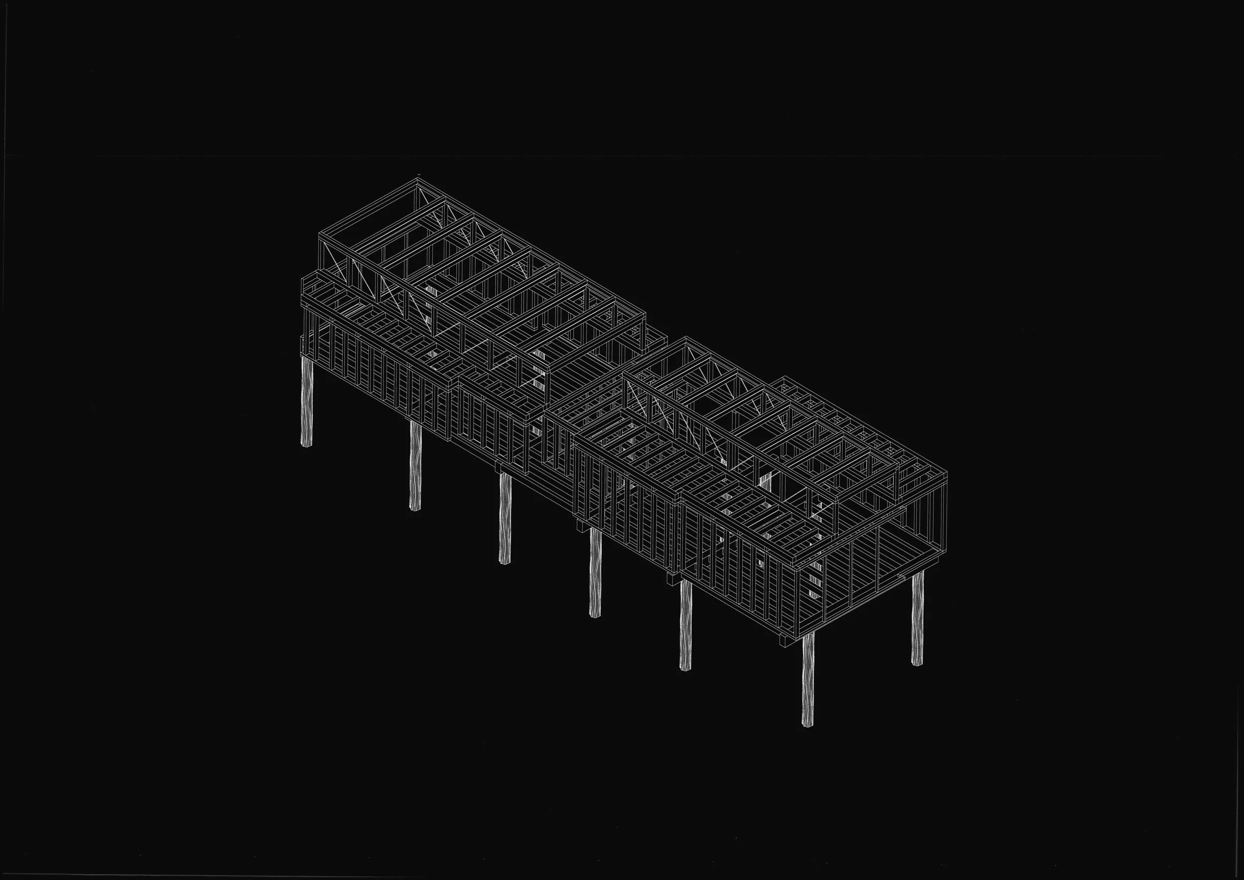 Elefant - Schneider Türtscher
