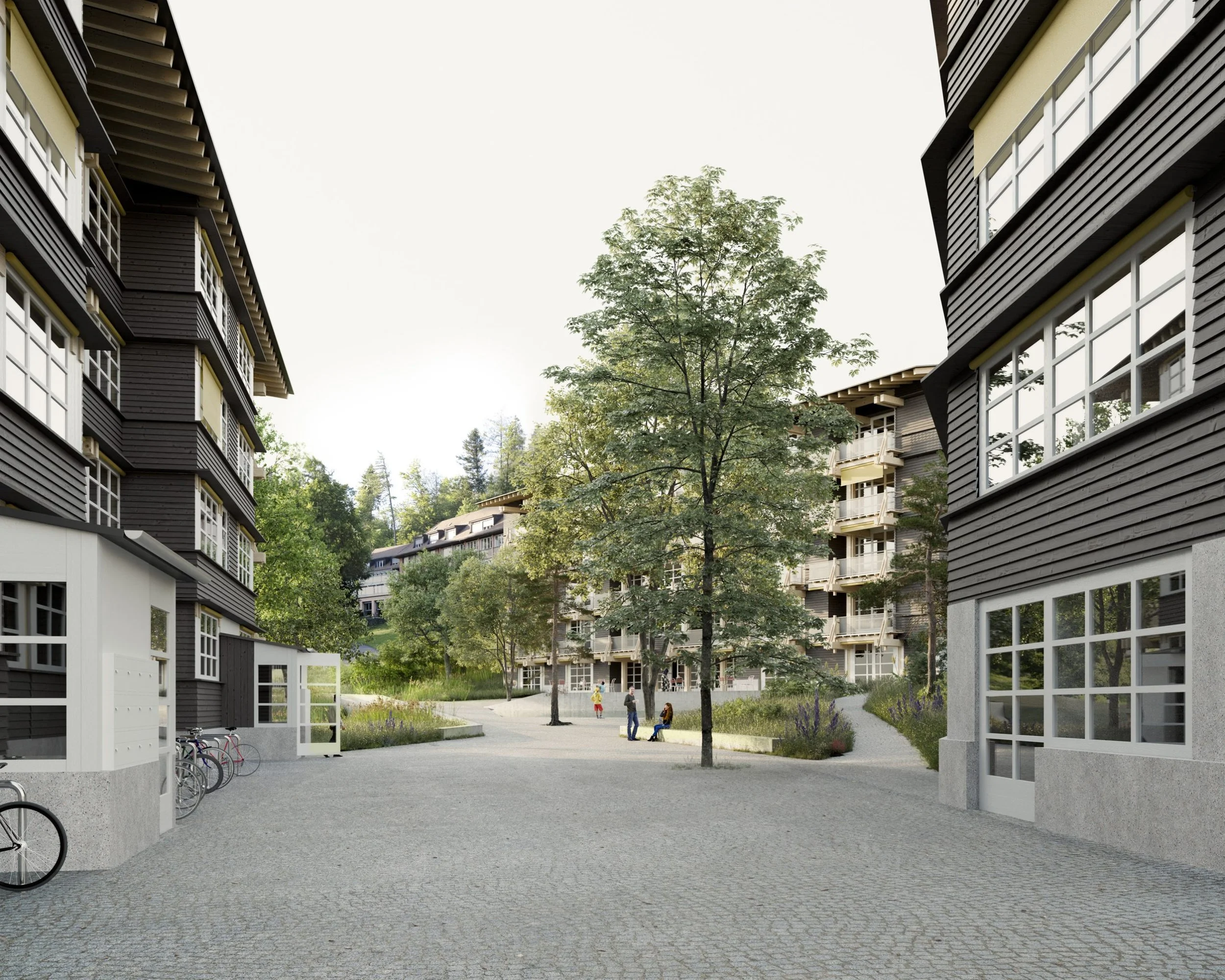 emi_hofbild-scaled.jpg