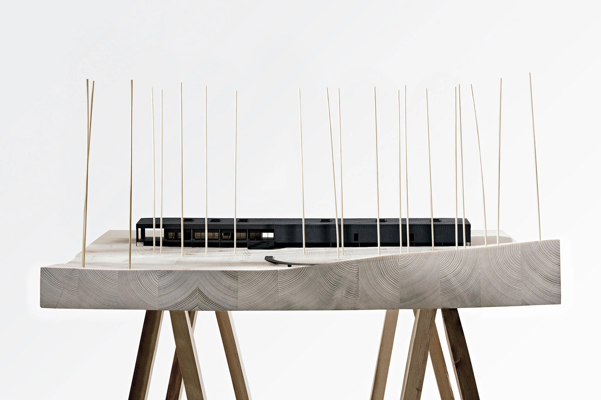 Model-photo_01.jpg