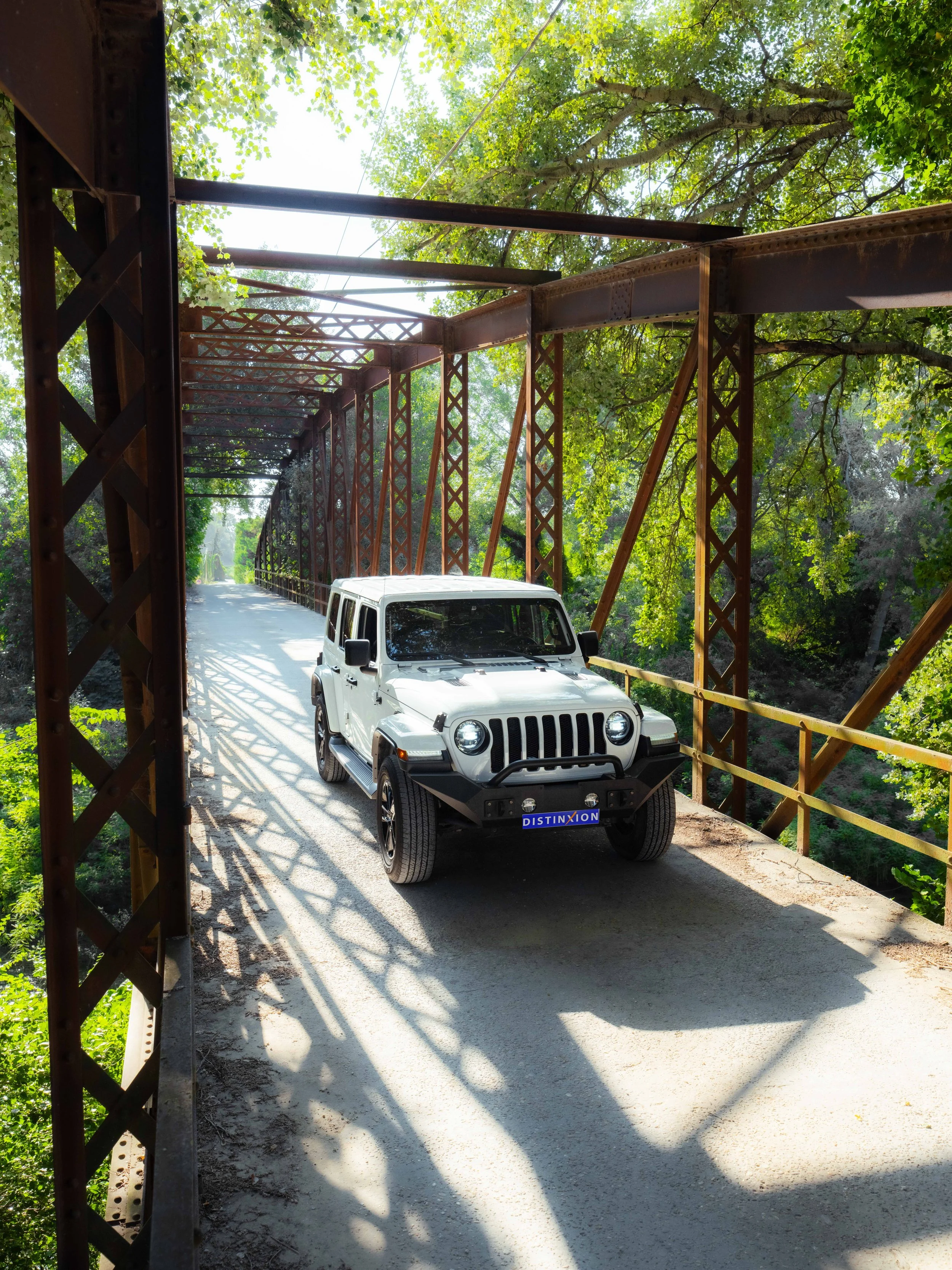 Wrangler-8.jpg