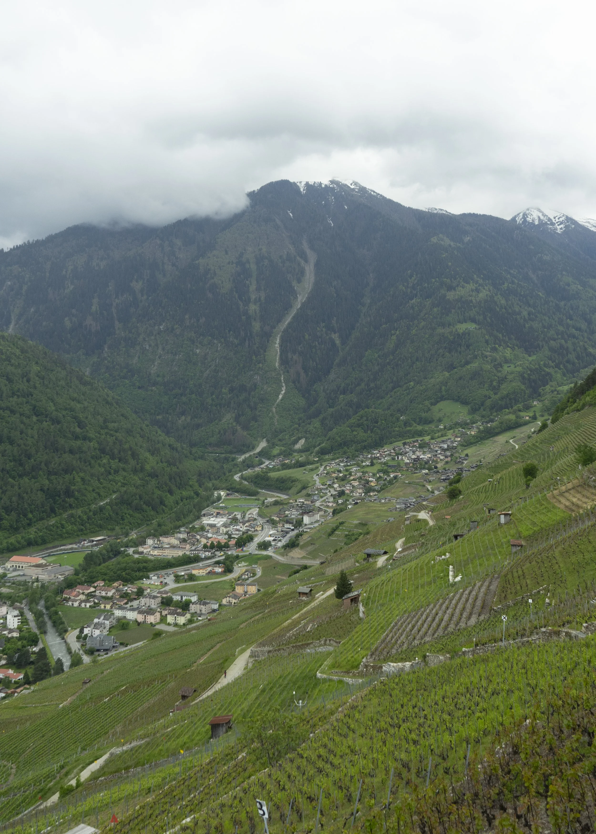 N_F_Prisedevue_Martin_Michel-117.jpg