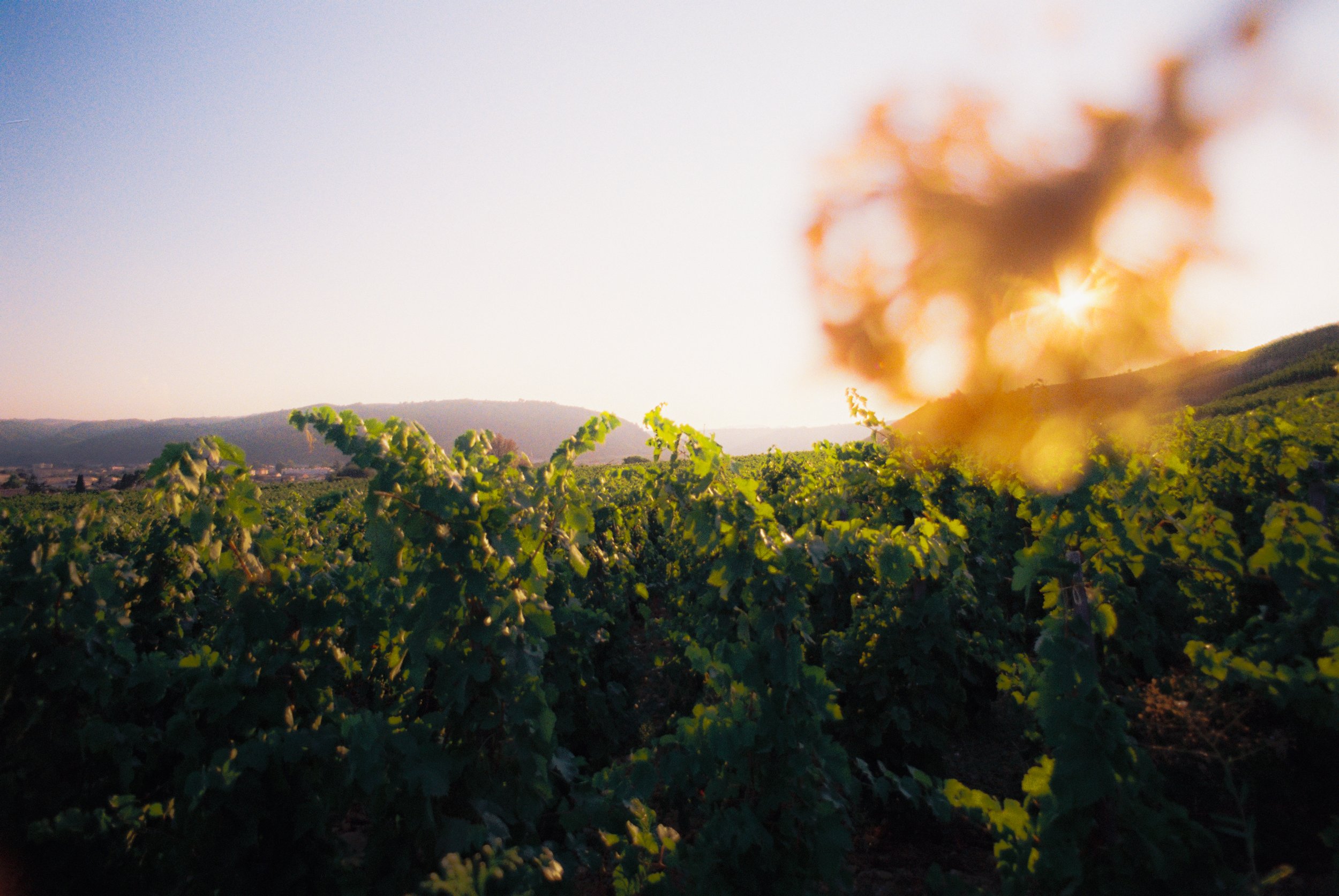 LeFiefDeGambert-21.jpg