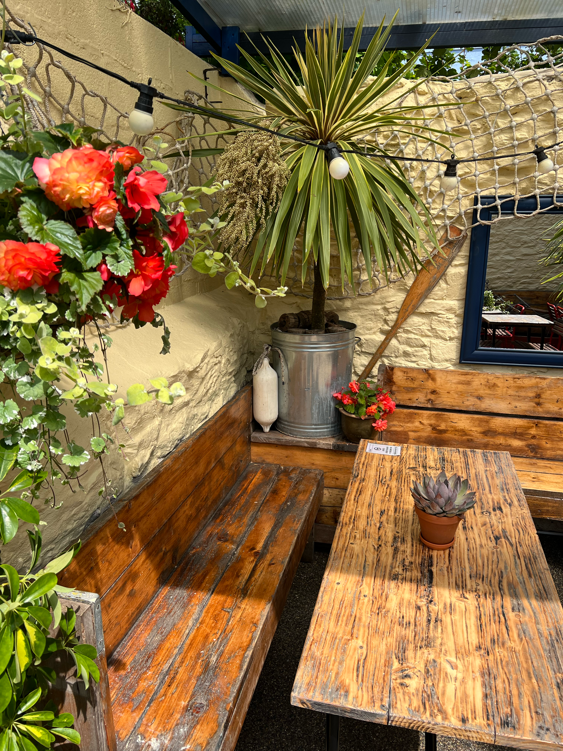Outdoor patio with wooden benches, potted plants including a cactus, red flowers, and a large spiky plant. A mirror and string lights are visible in the background.