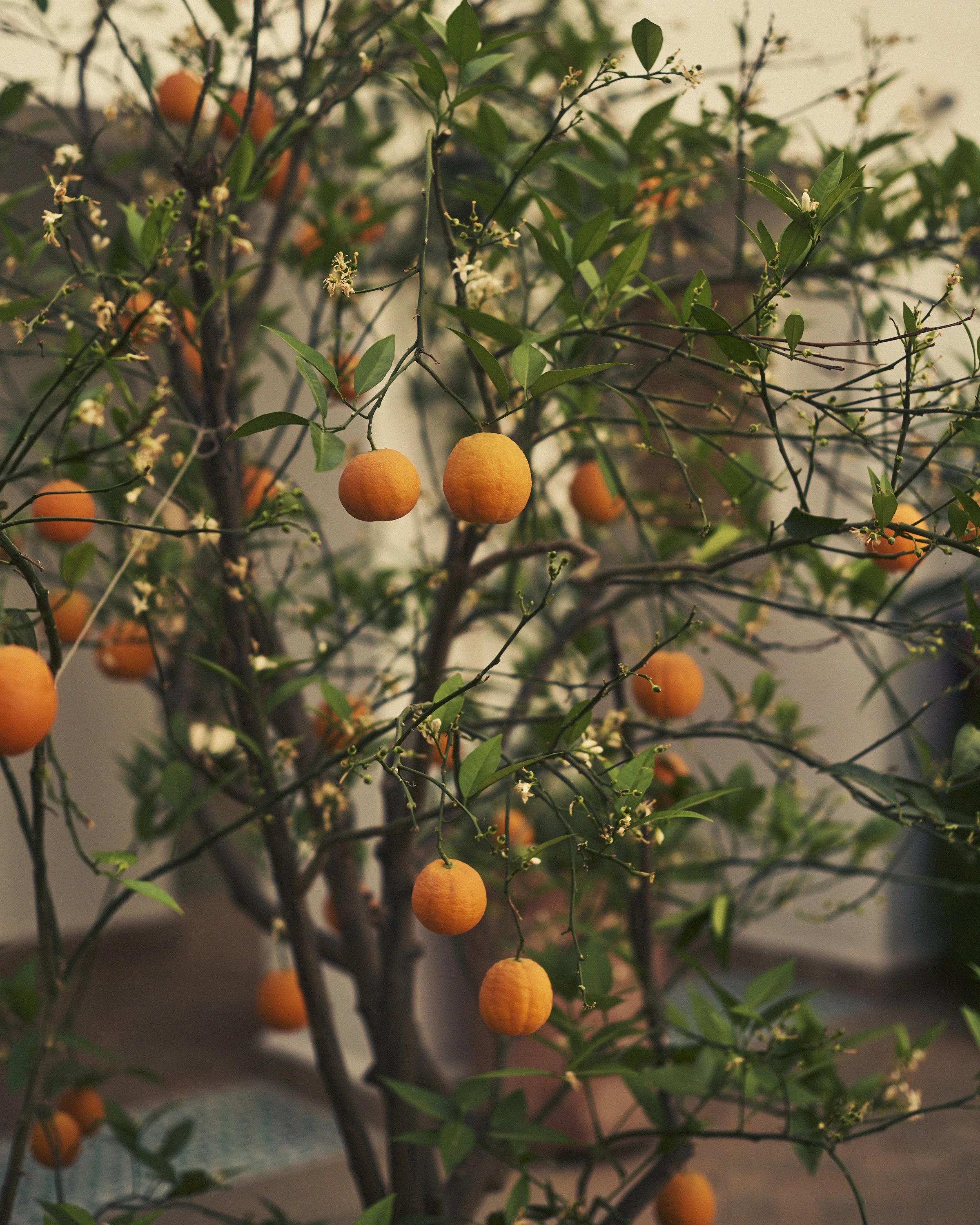 Izza Noujoum Content Drive2523_Final.jpg