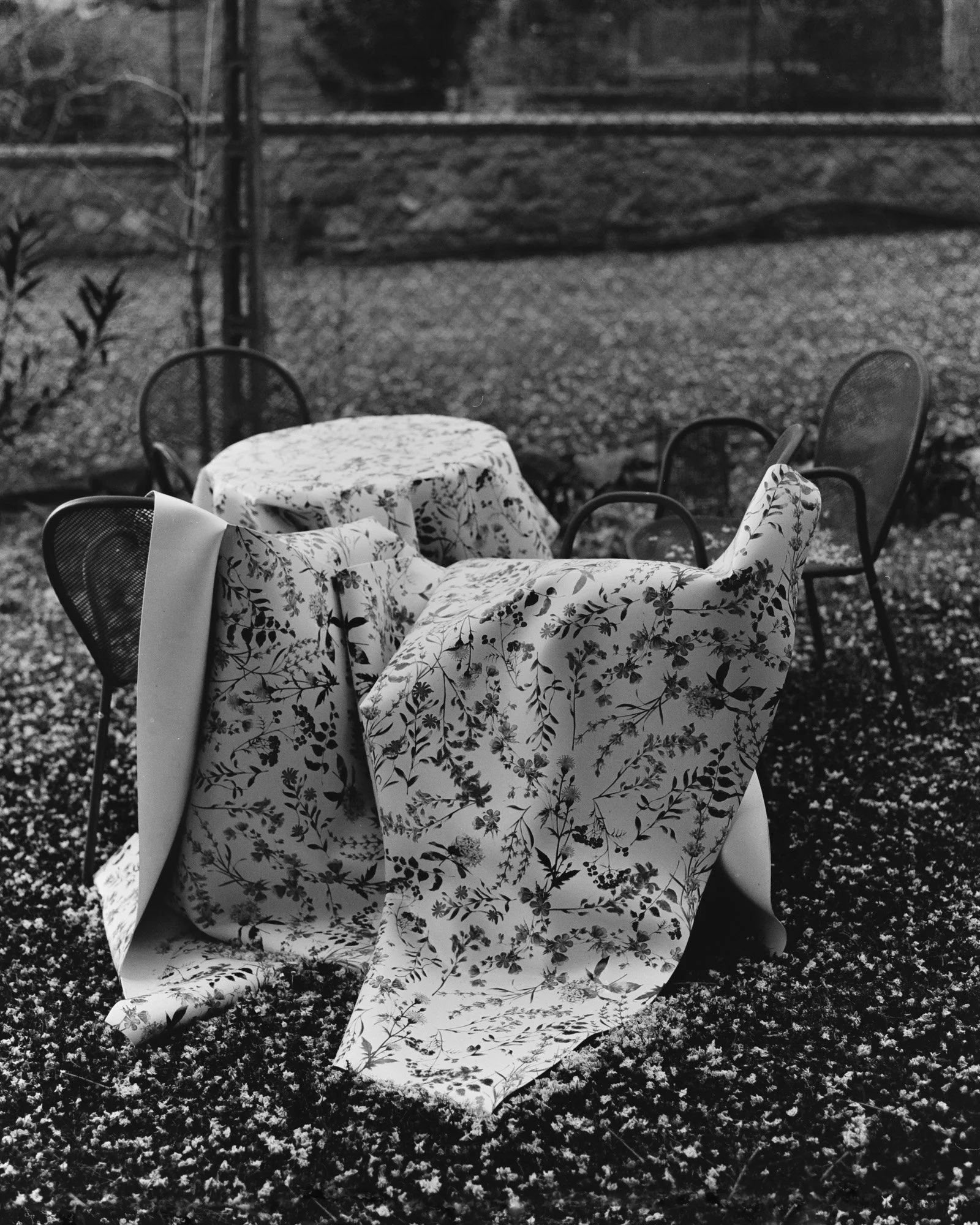 Un tavolo coperto con una tovaglia a motivi floreali, circondato da sedie di metallo in giardino, in bianco e nero.