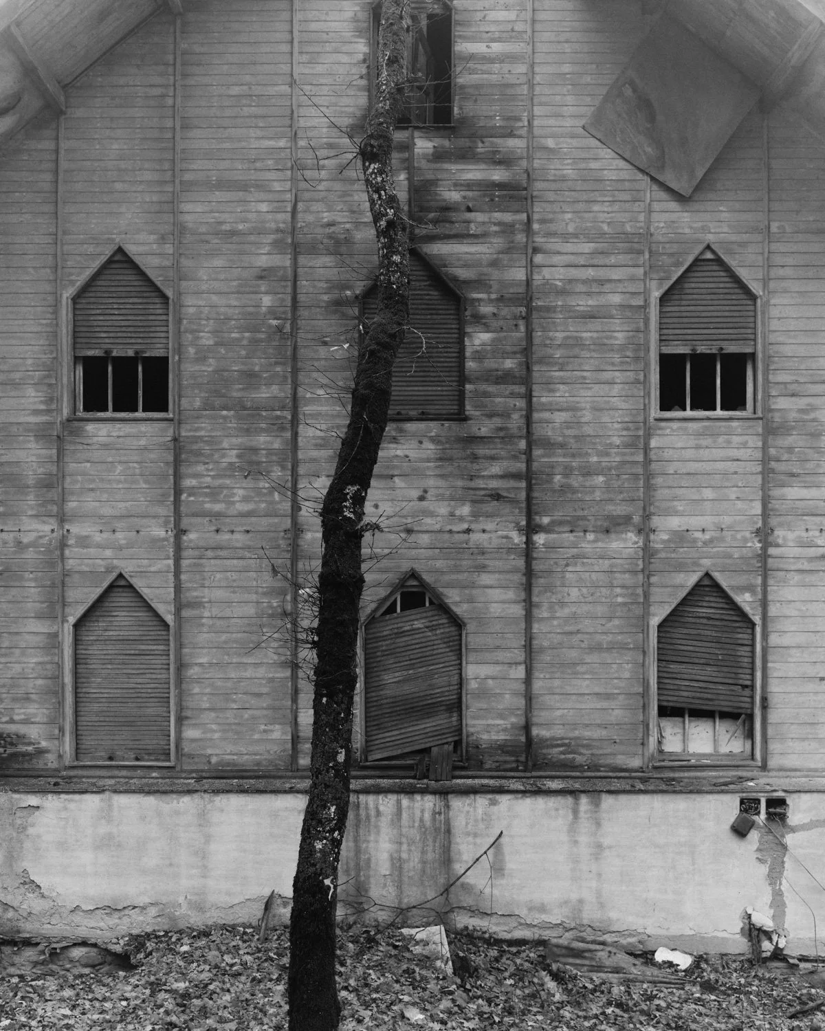 Facciata di un edificio in legno con finestre e persiane rotte, un albero spoglio davanti e detriti sul terreno.
