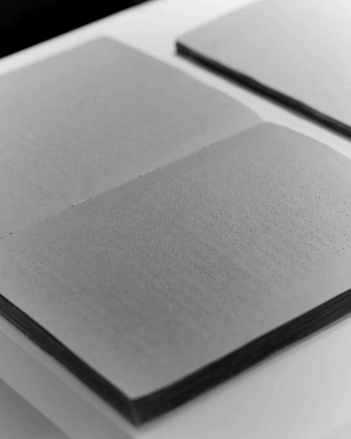 Pagine di un libro o di un quaderno aperto con una superficie liscia e senza testo, in toni di grigio.