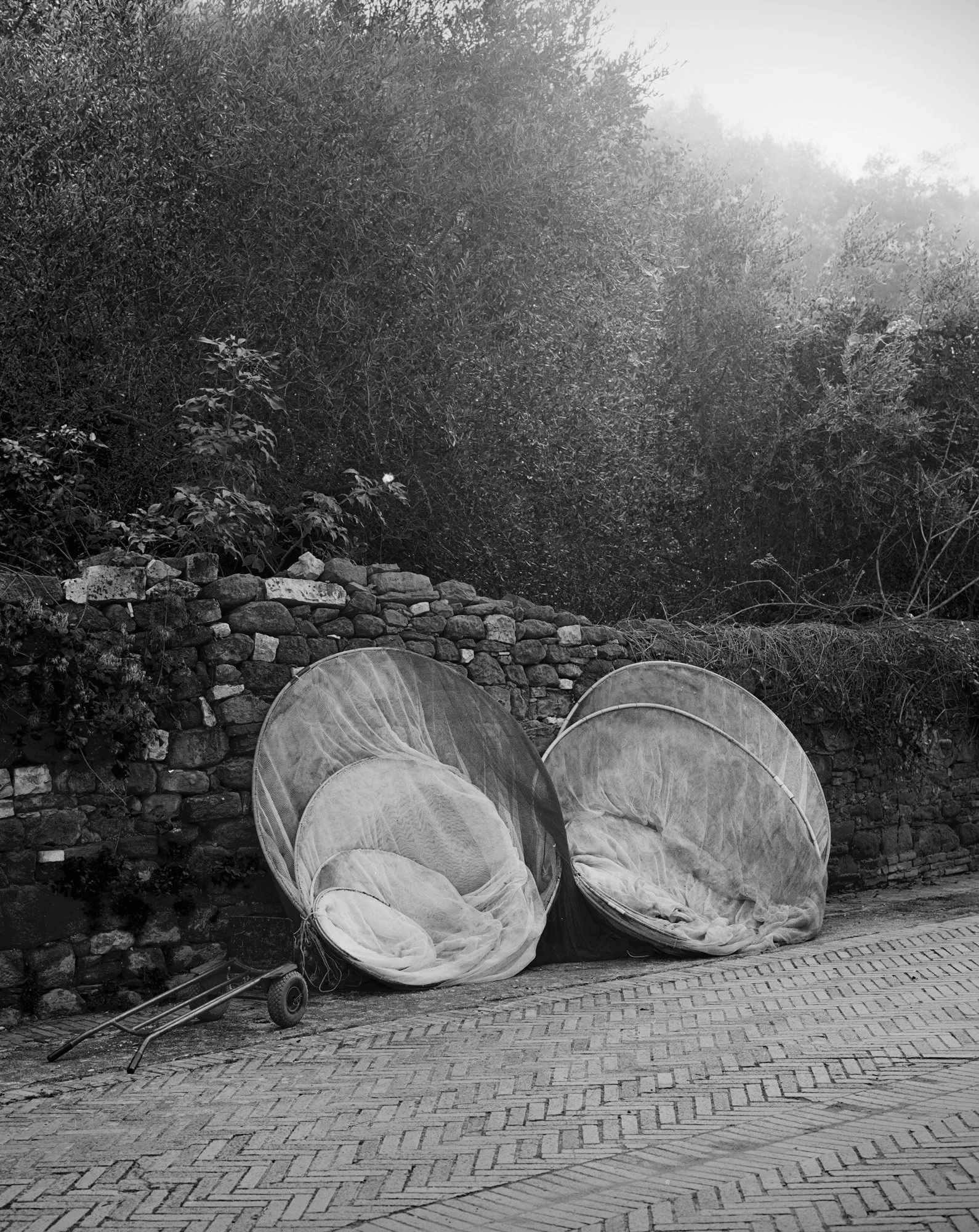 Sedie a baldacchino pieghevoli in tessuto, alcune capovolte, all'aperto su un marciapiede, con uno sfondo di pietre e un muro di pietra, sotto alberi.