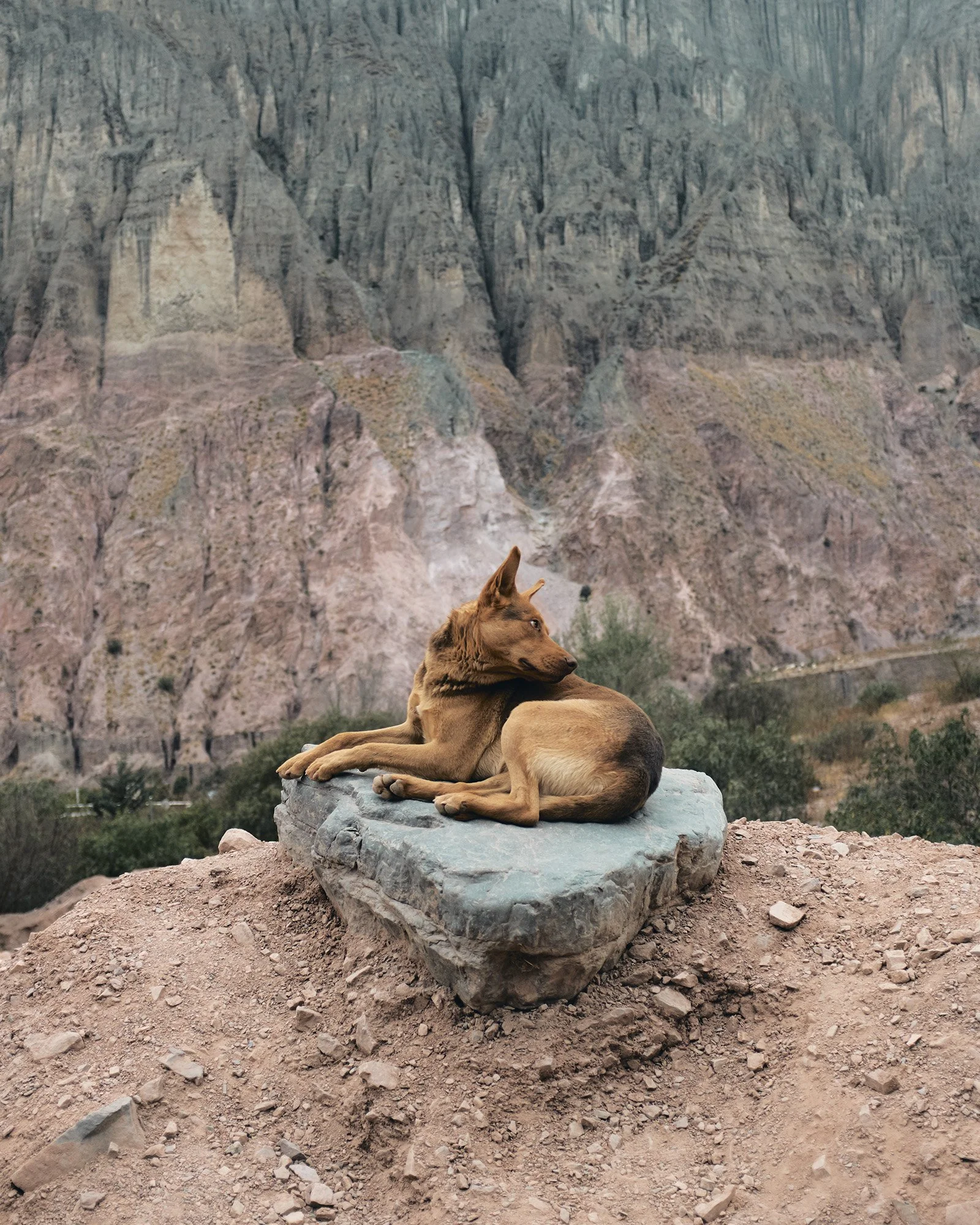 Latinoamerica (2018)