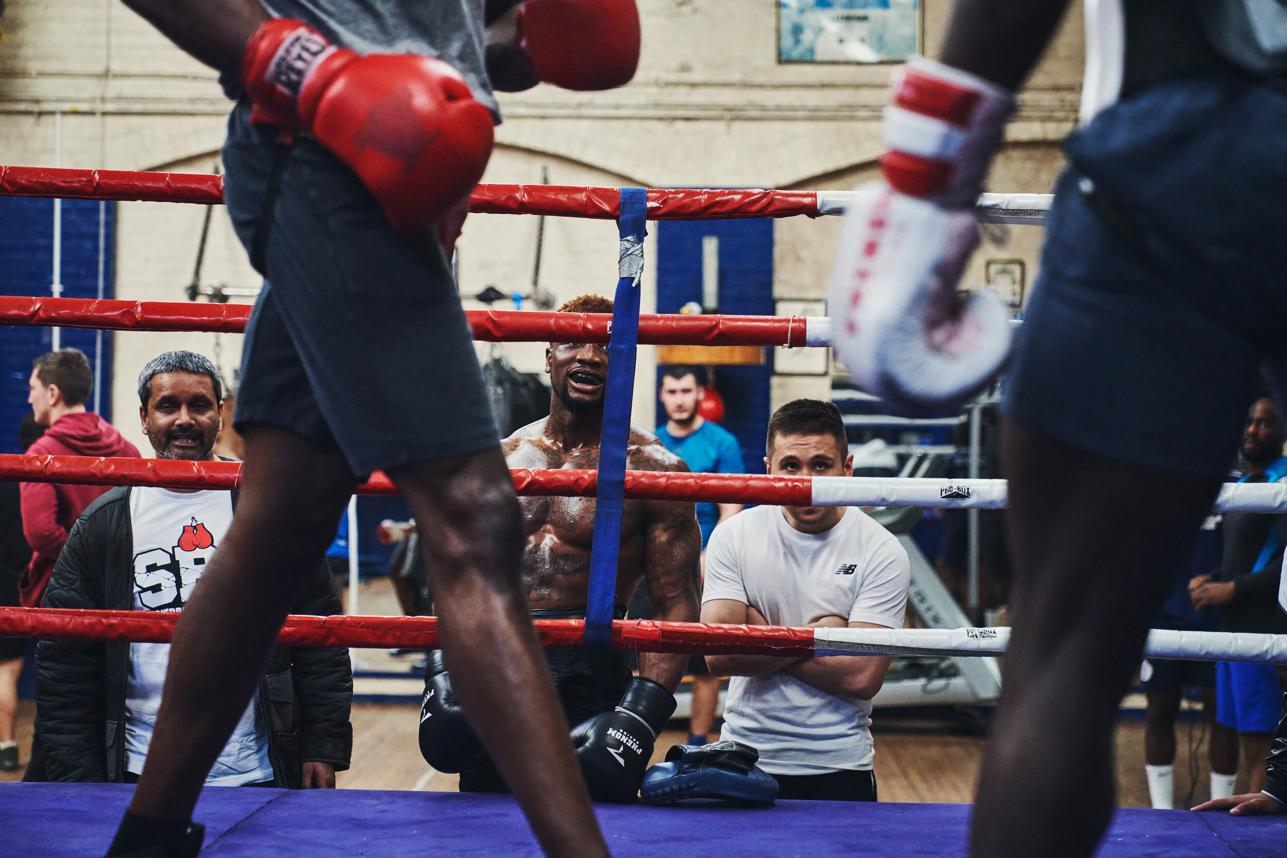 Sparring.jpg