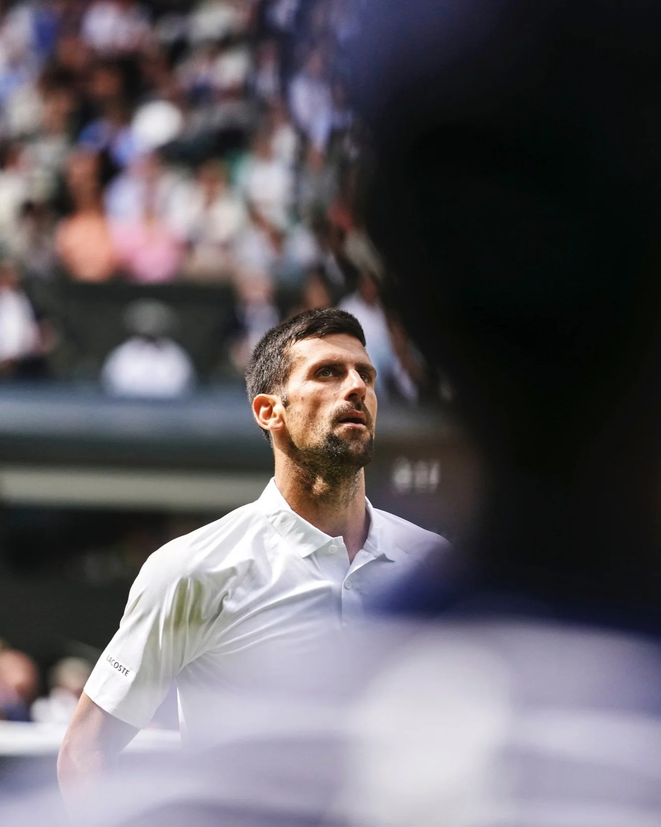 Stockdale_NYT_Wimbledon_Final14.jpg