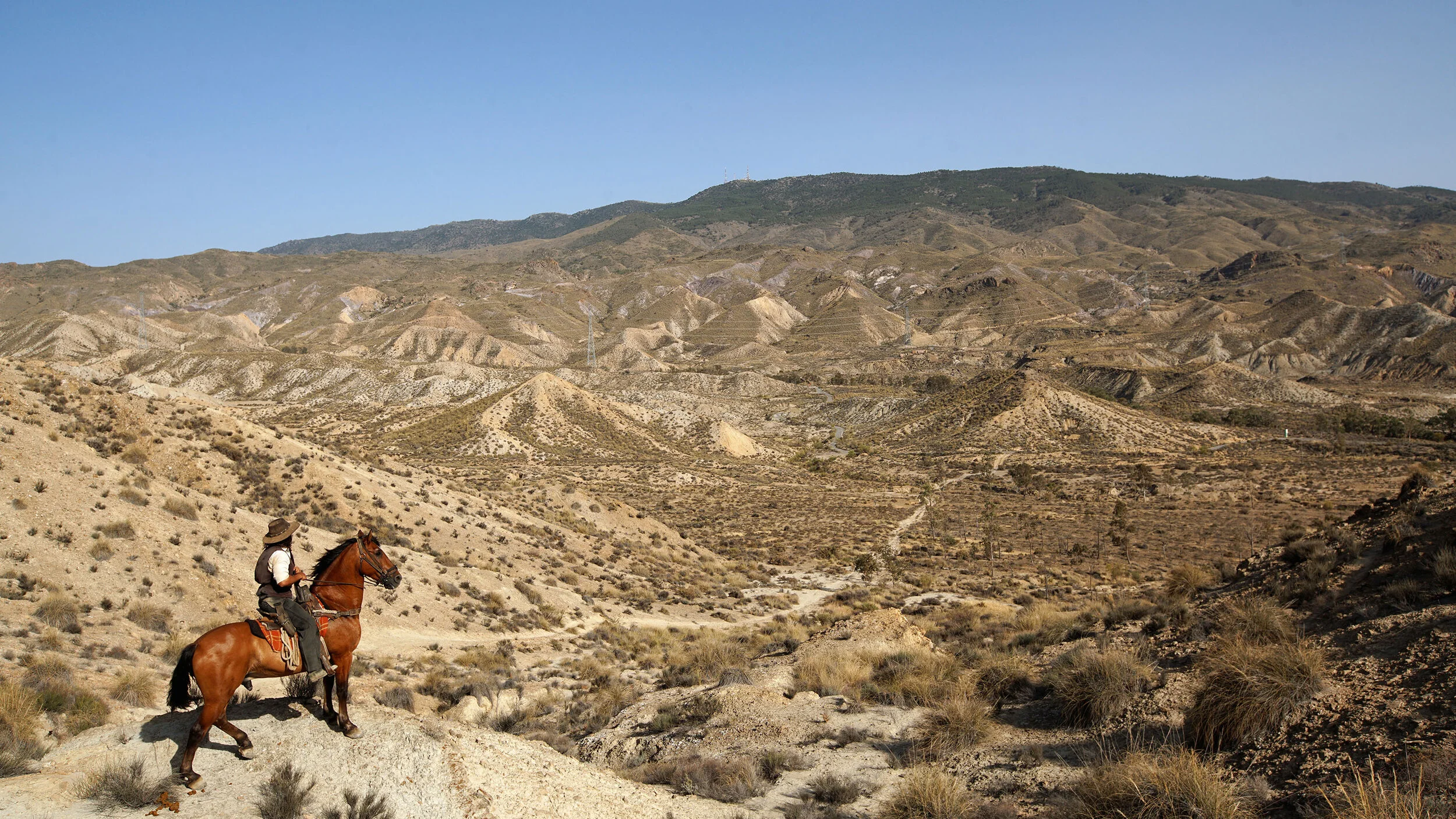 Got Your Back x Staat (Copy)