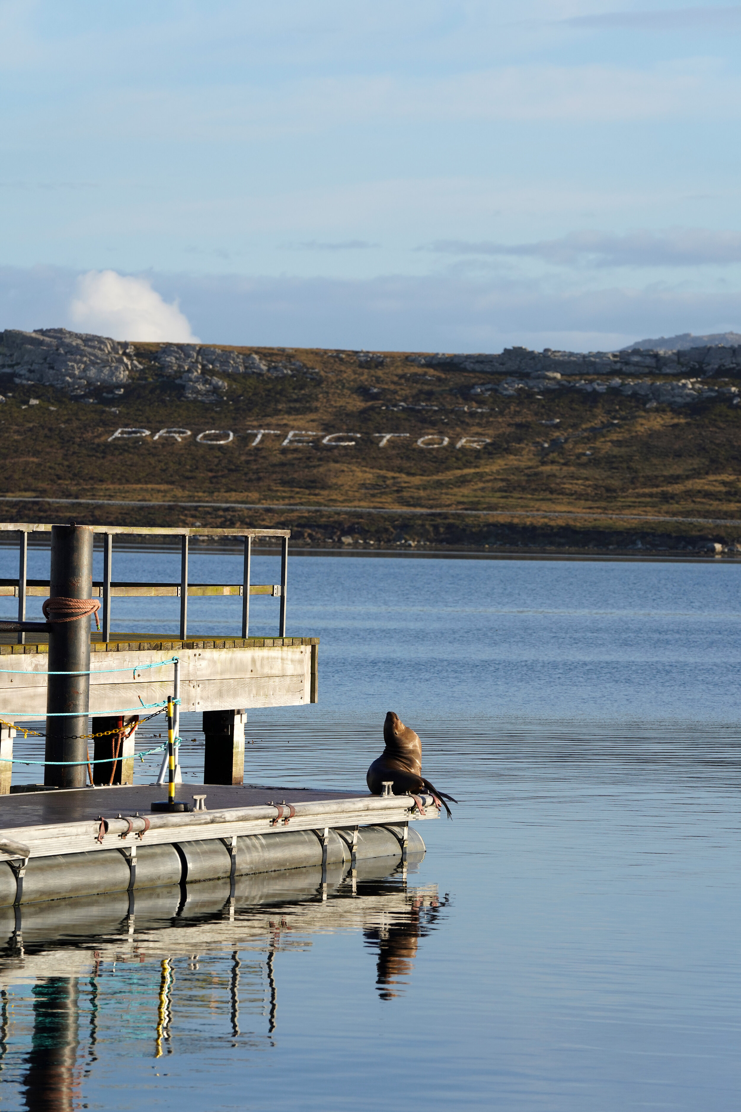 Falklands6.jpg