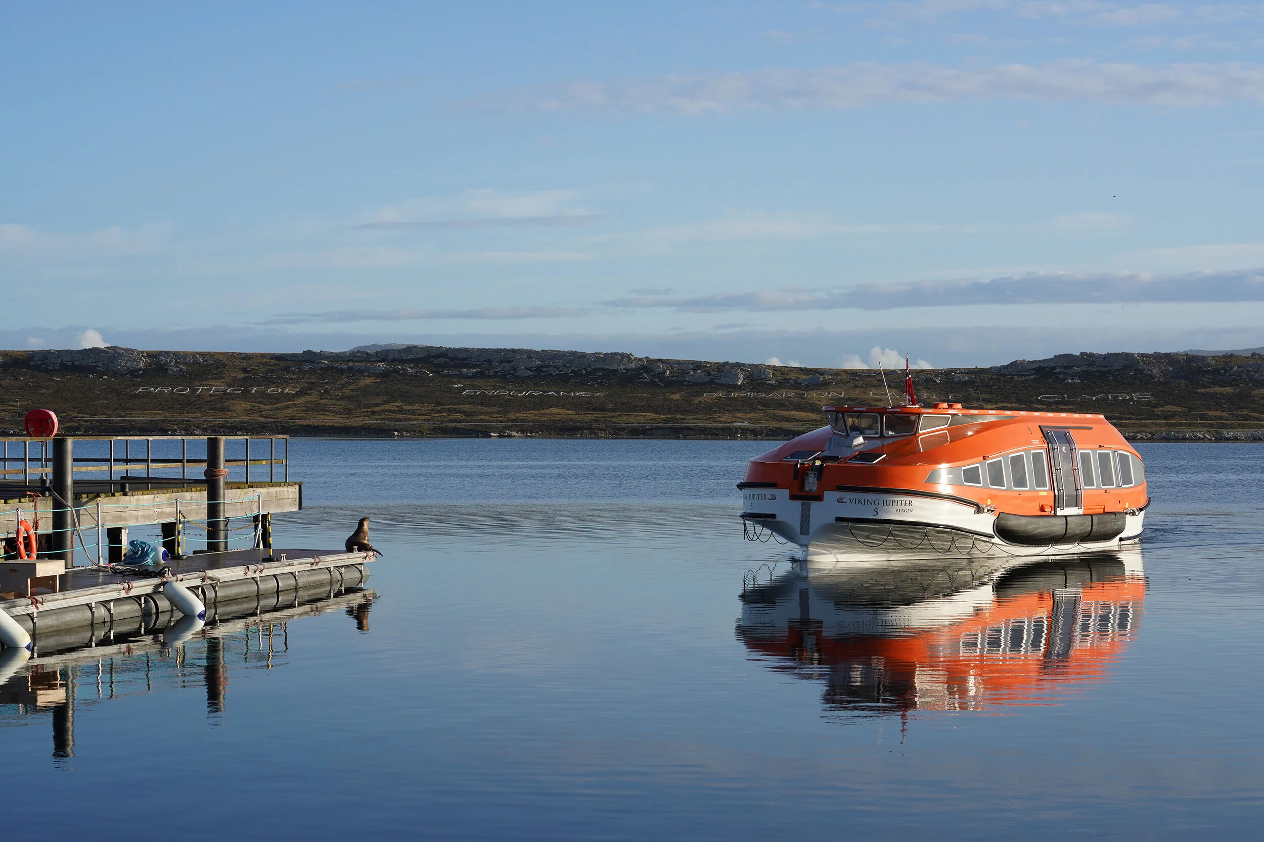 Bluff_Cove_Morning24.jpg