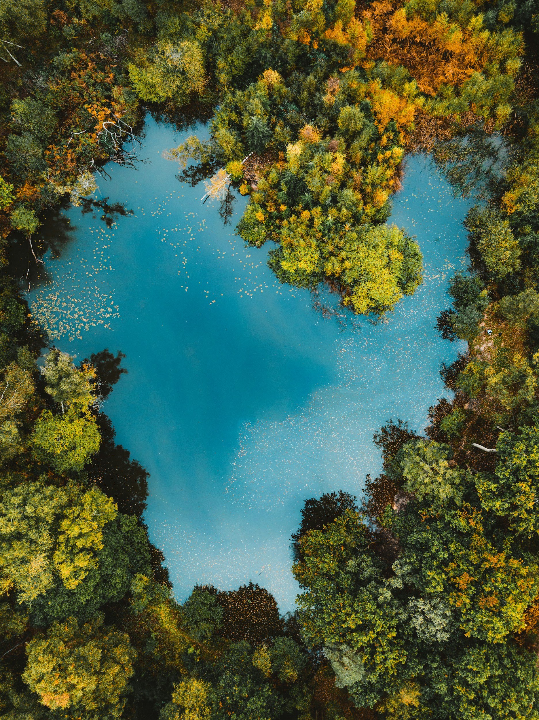 Vue aérienne d'un lac entouré d'arbres aux couleurs automnales, avec des nuances de vert, jaune, orange et rouge, reflet dans l'eau.