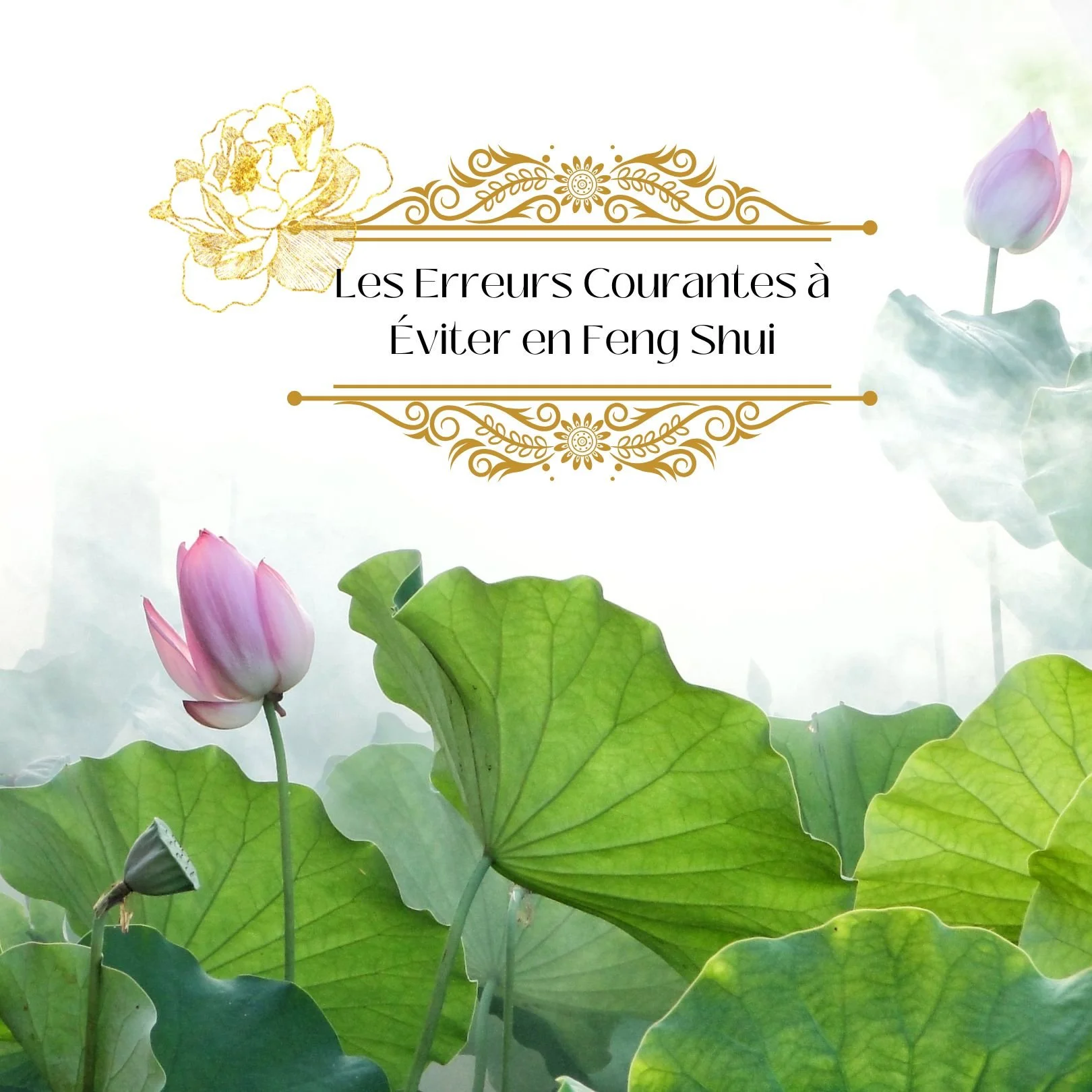 Les erreurs courantes à éviter au Fengshui