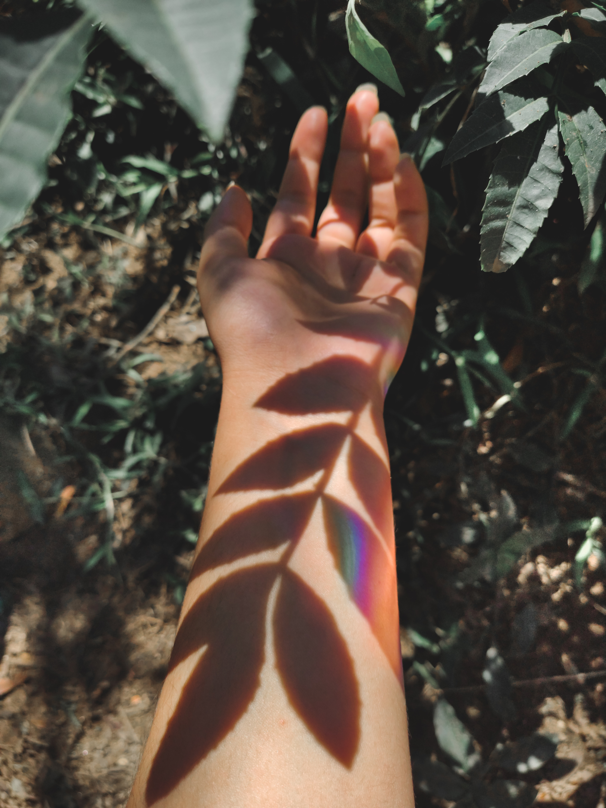 Une main humaine longée par un rayon de soleil créant une ombre en forme de feuilles sur la peau, avec des feuilles vertes dans un environnement naturel.