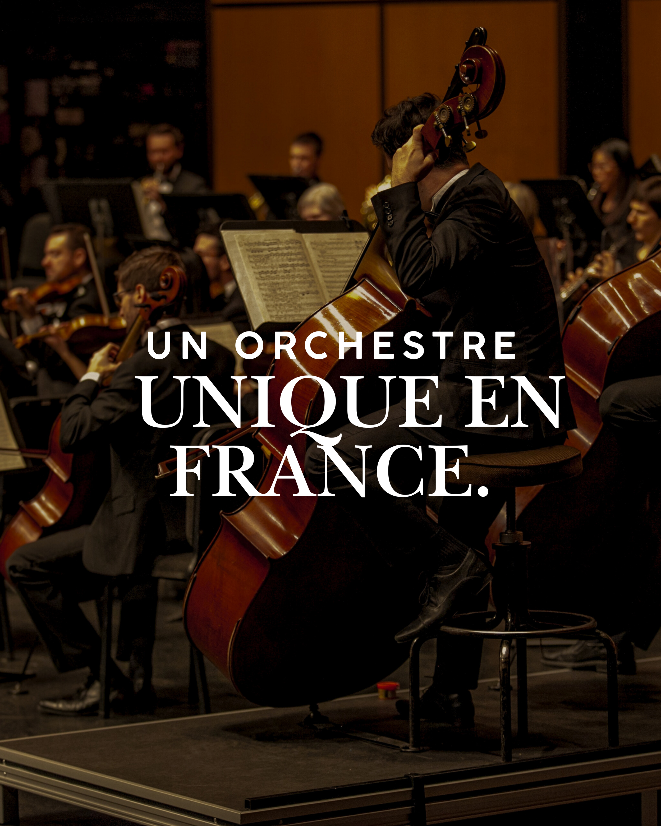 Orchestre jouant dans une salle de concert, un musicien joue du violoncelle et un autre viseur la tête couronnée d'un violon. L'orchestre est composé de plusieurs musiciens portants un costume noir.
