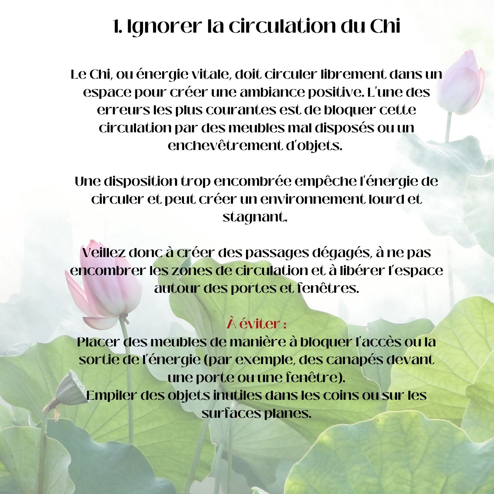 Les Erreurs Courantes à Éviter en Feng Shui (2).jpg