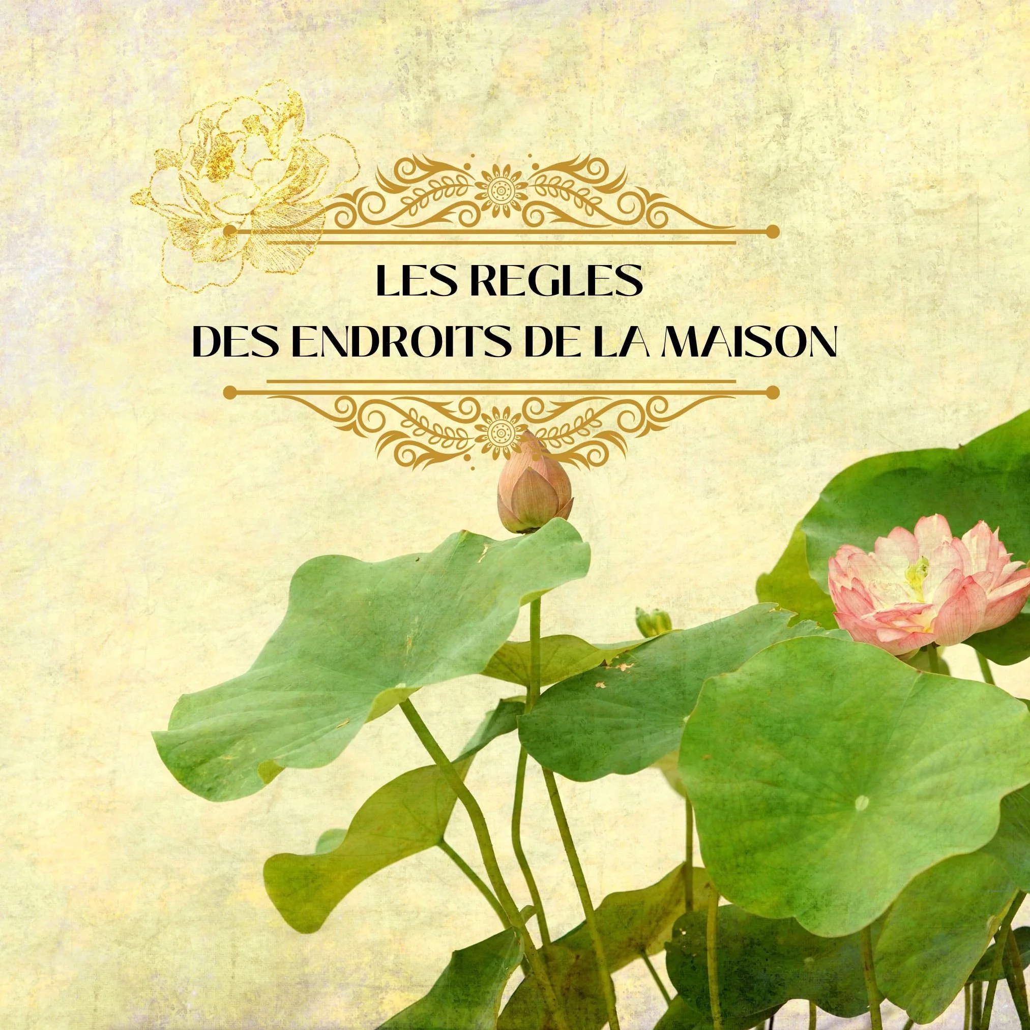 Les règles des endroits de la maison