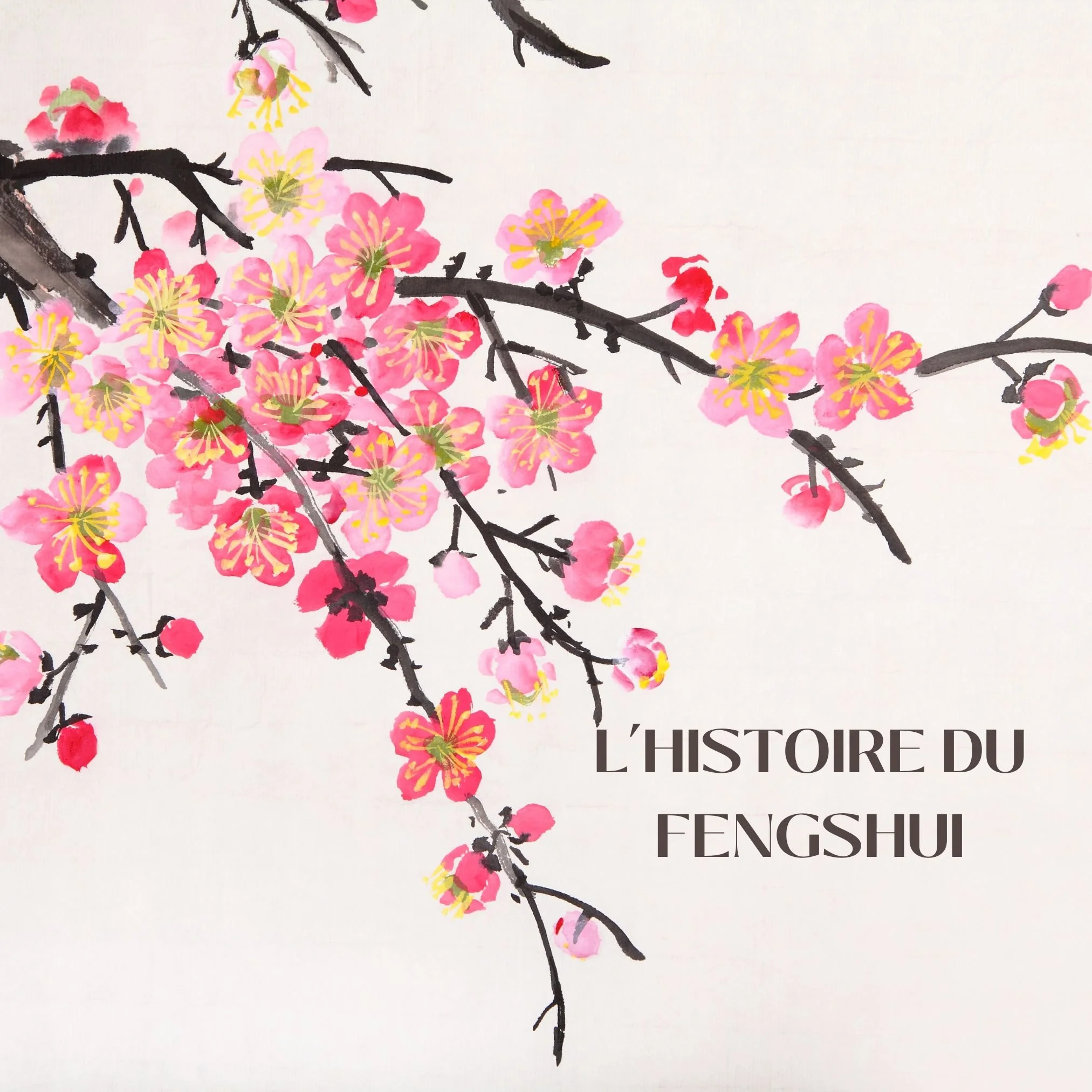 l'histoire du fengshui