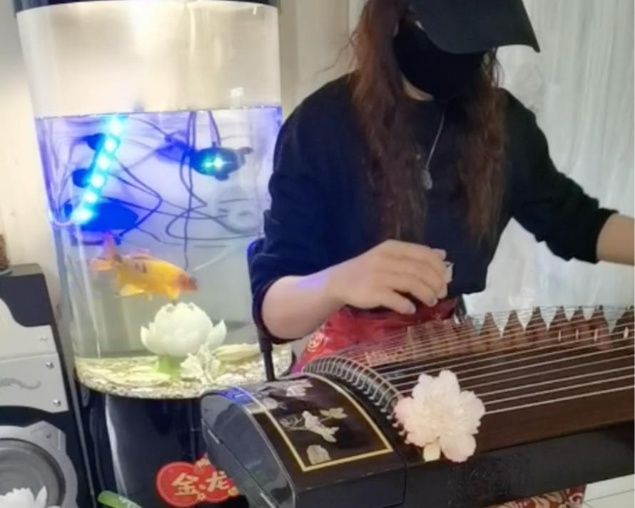 Une femme portant un chapeau noir, un masque noir, et une robe noire joue du guqin, un instrument de musique traditionnel chinois, devant un aquarium avec des poissons colorés.