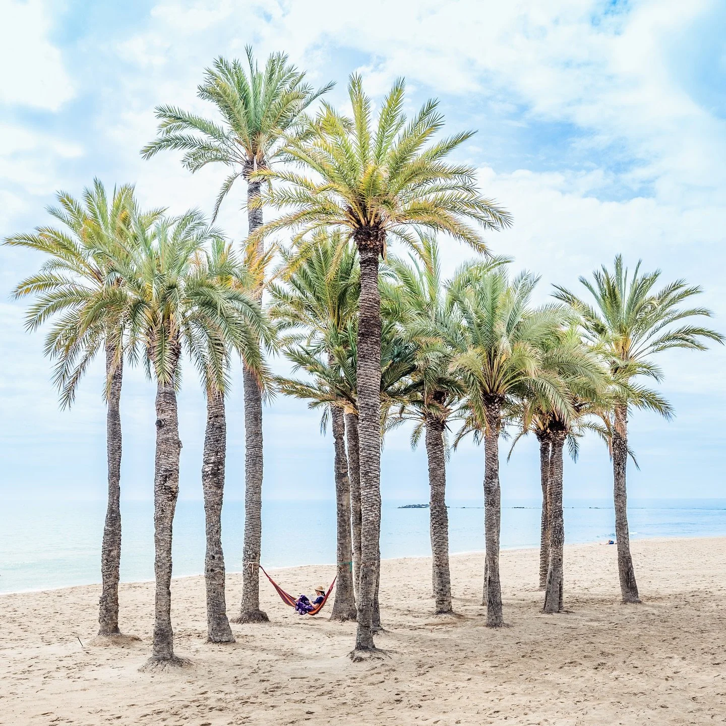 Palm Peace 🤍🩵💚
📍Costa Blanca, Spain
#costablanca #palmtrees #beachvibes #hammocklife #relaxmode #seaview #spaintravel #lazyafternoon #oceanmood #igersspain #your_travelshotz #visit_ineurope #yourcountryside #beachescape #travelgram #softlight #sa