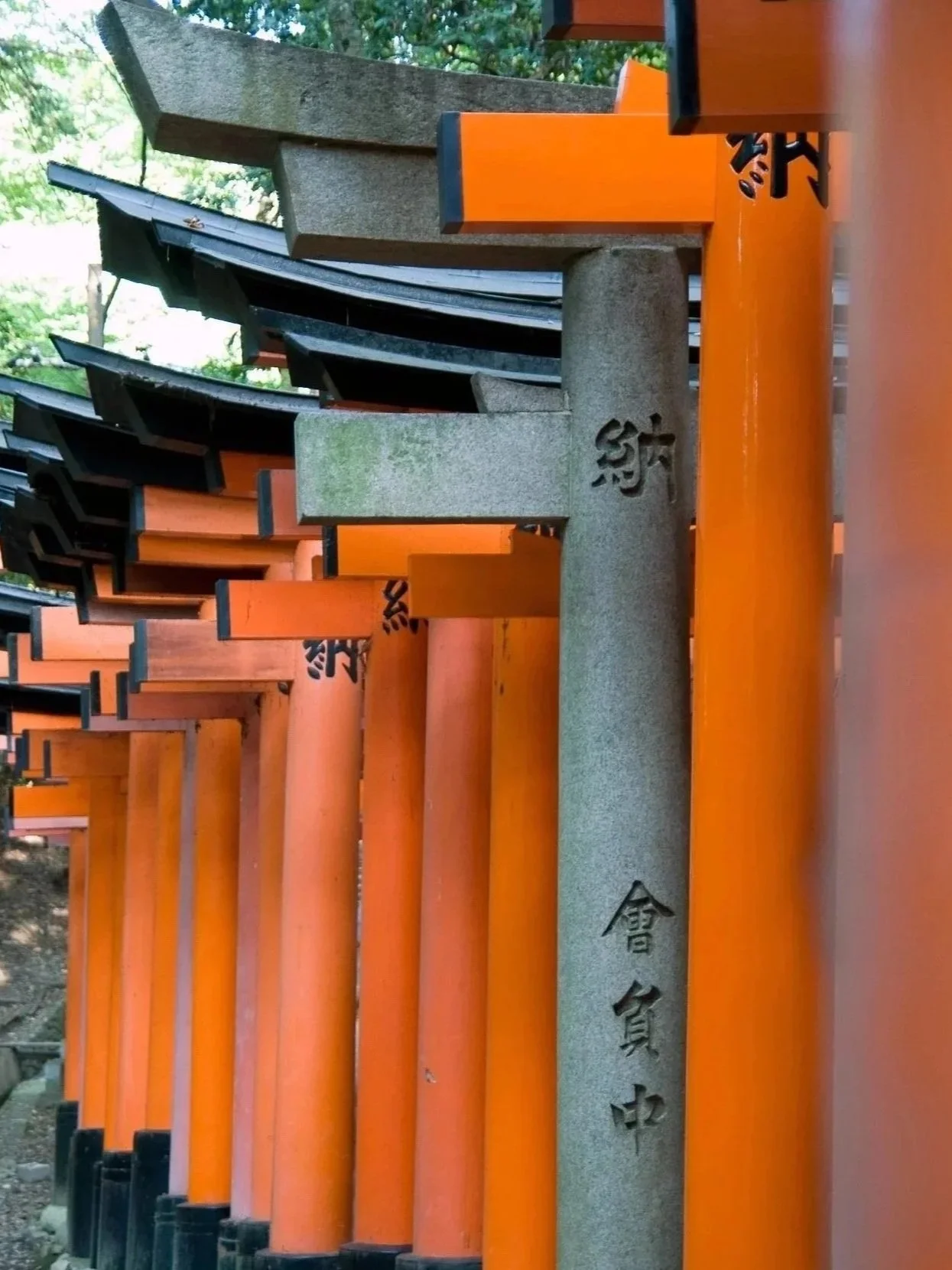 Fushimi%25252BTori%25252BFarbe.jpg