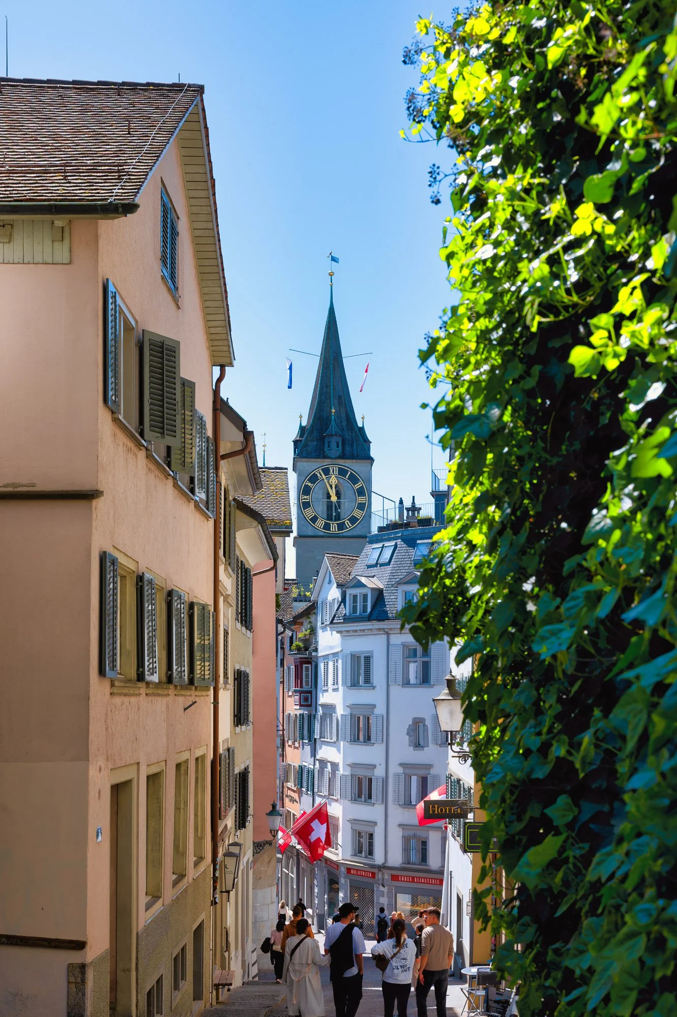 20260501-_DSC2286-Bearbeitet-2.jpg