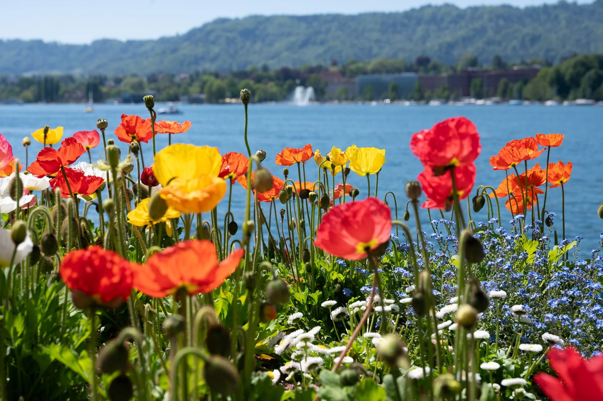 20260501-_DSC2388.jpg