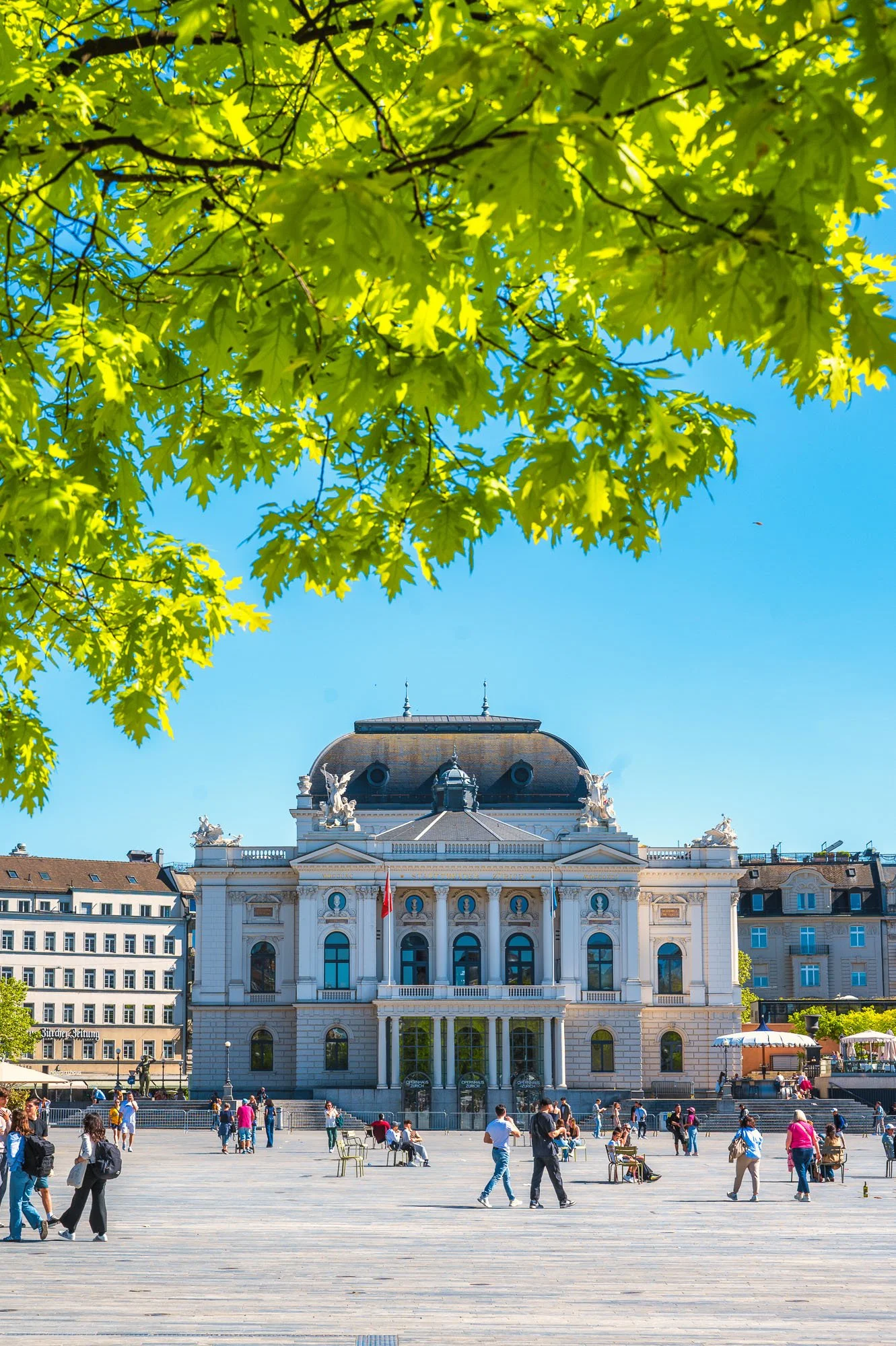 20260501-_DSC2502-Bearbeitet.jpg