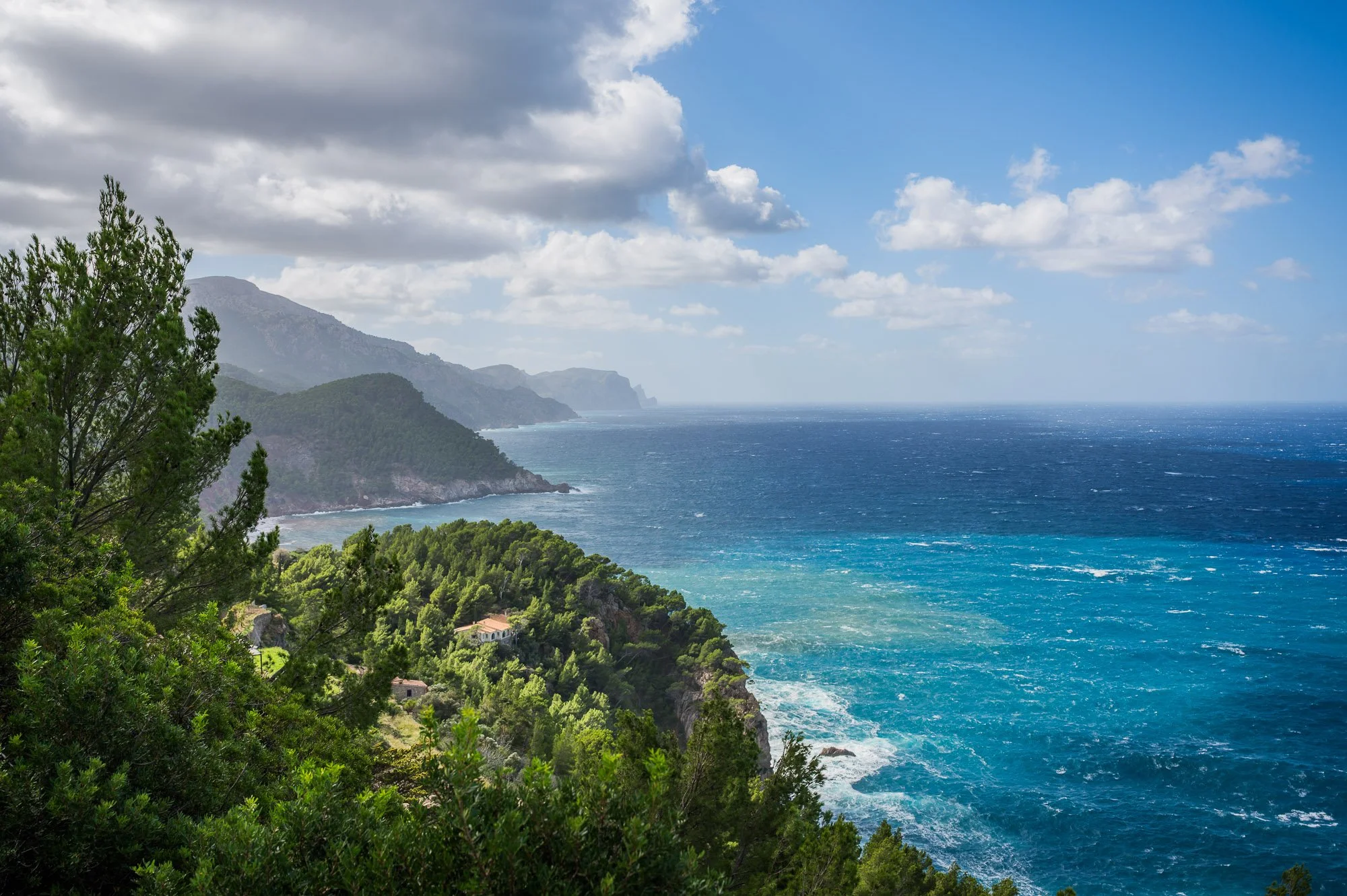 Coastal view of lush green trees and hills along the ocean with a cloudy sky.