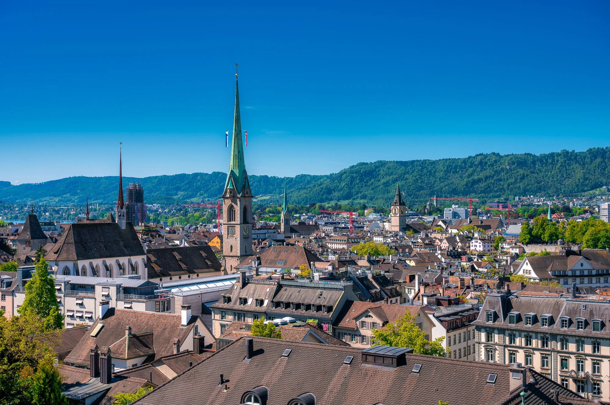20260501-_DSC2242-Bearbeitet.jpg