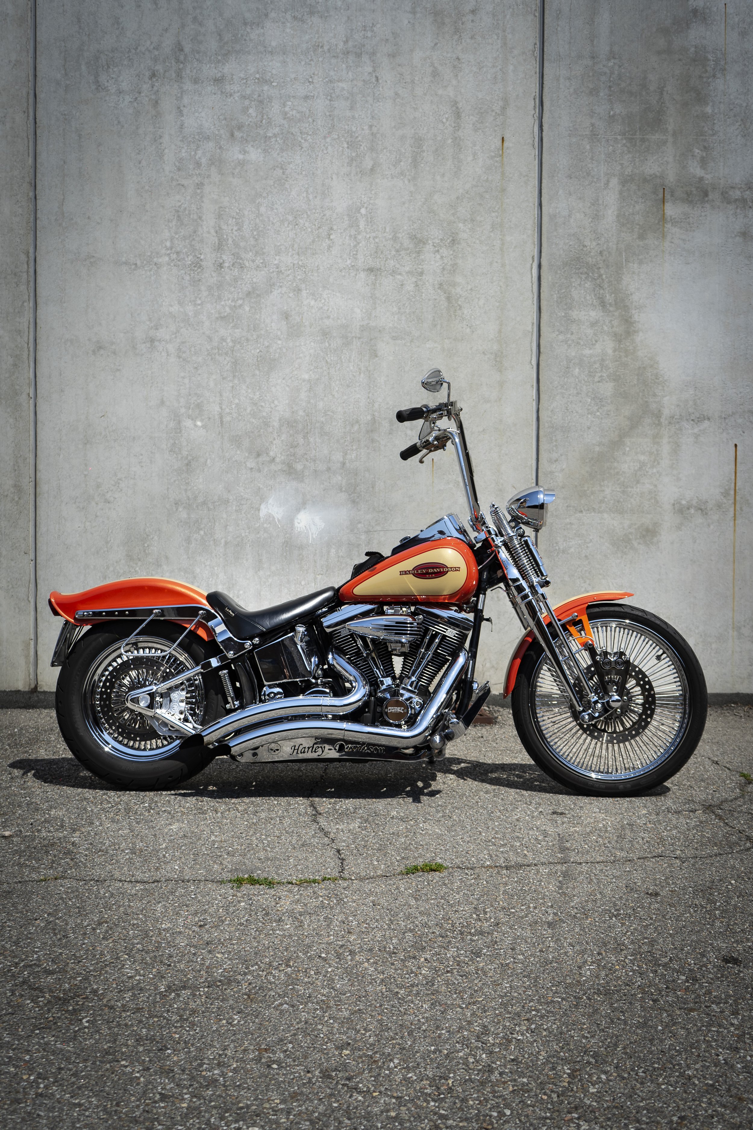 custom harley davidson cycledelic garage gozzano