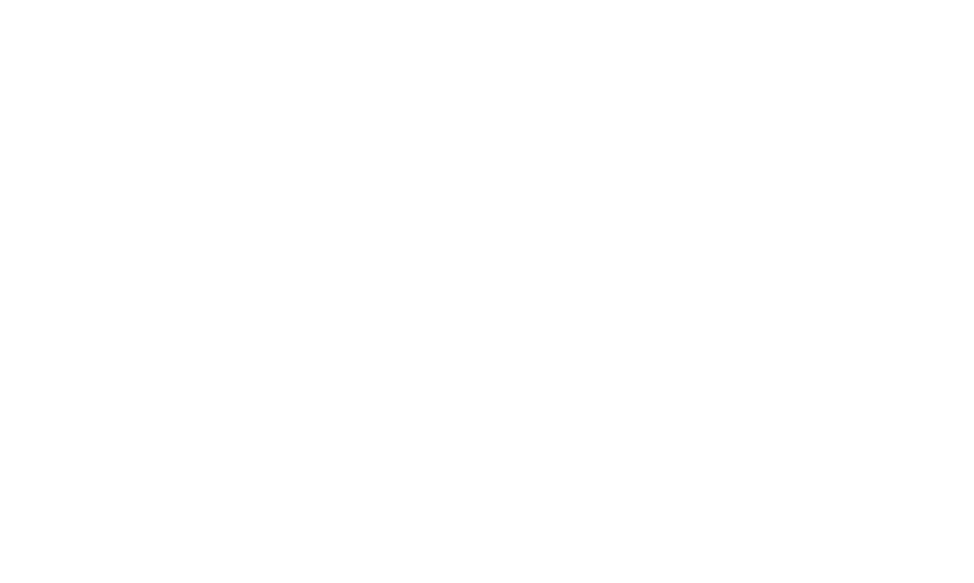 VESTIS