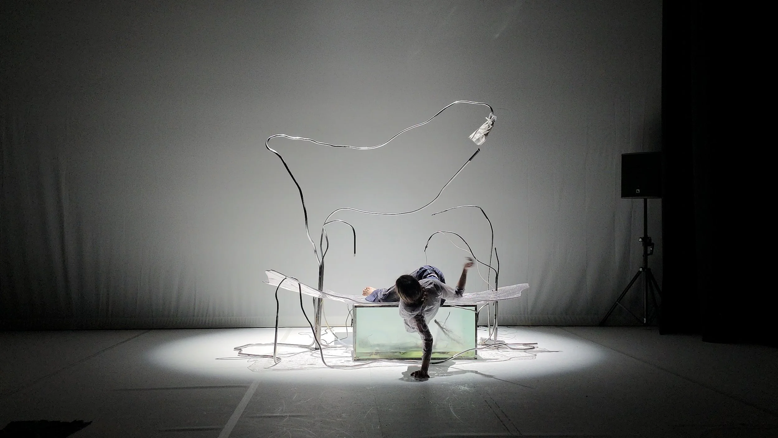3. MURMURES_ Z ART asbl ©Giovanni Zazzera.jpg