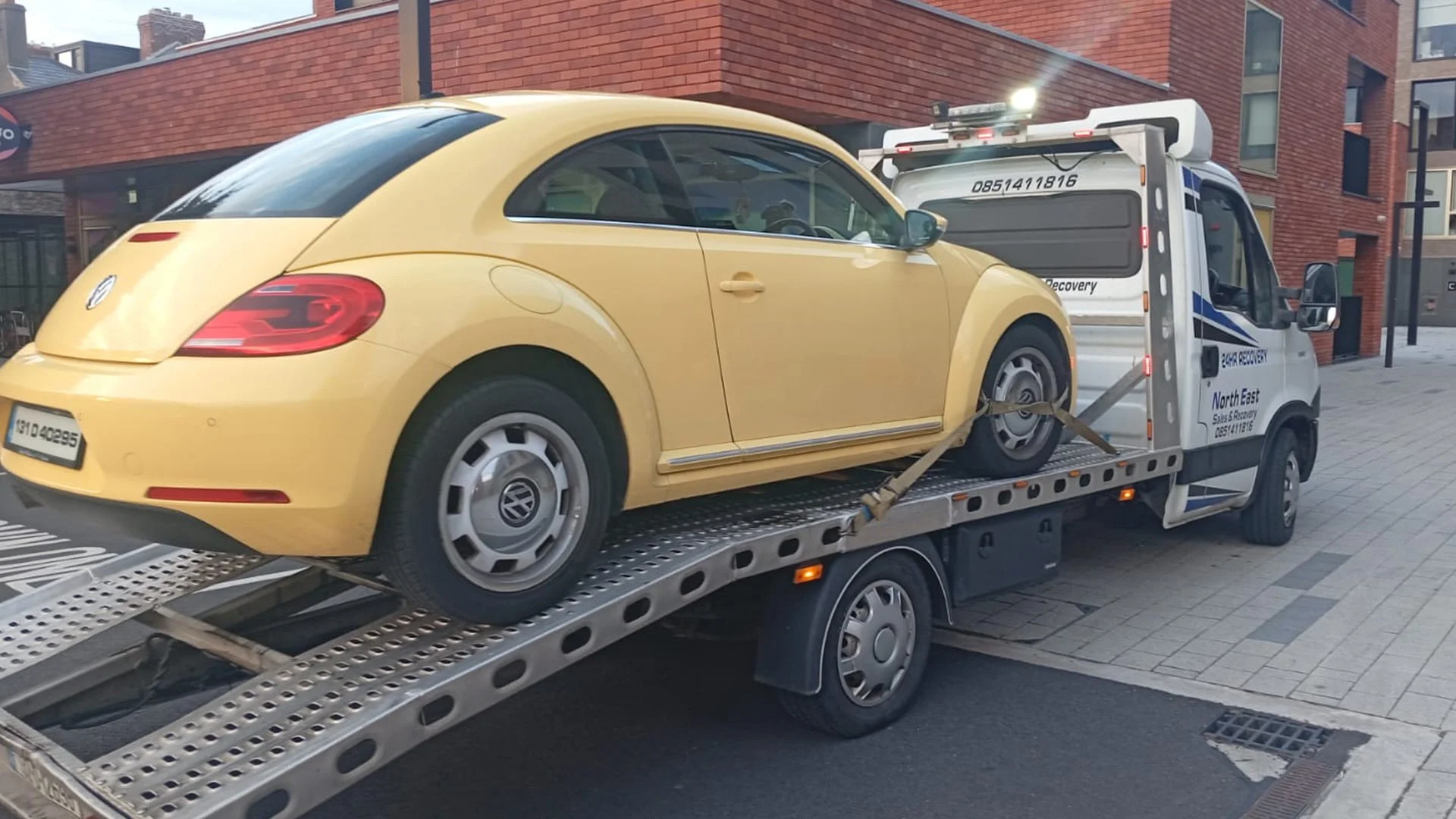 Beetle Recovery