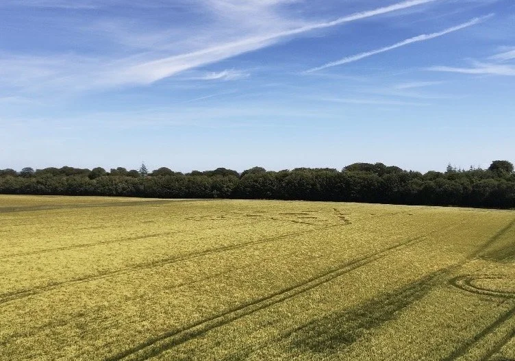 Crop Circles