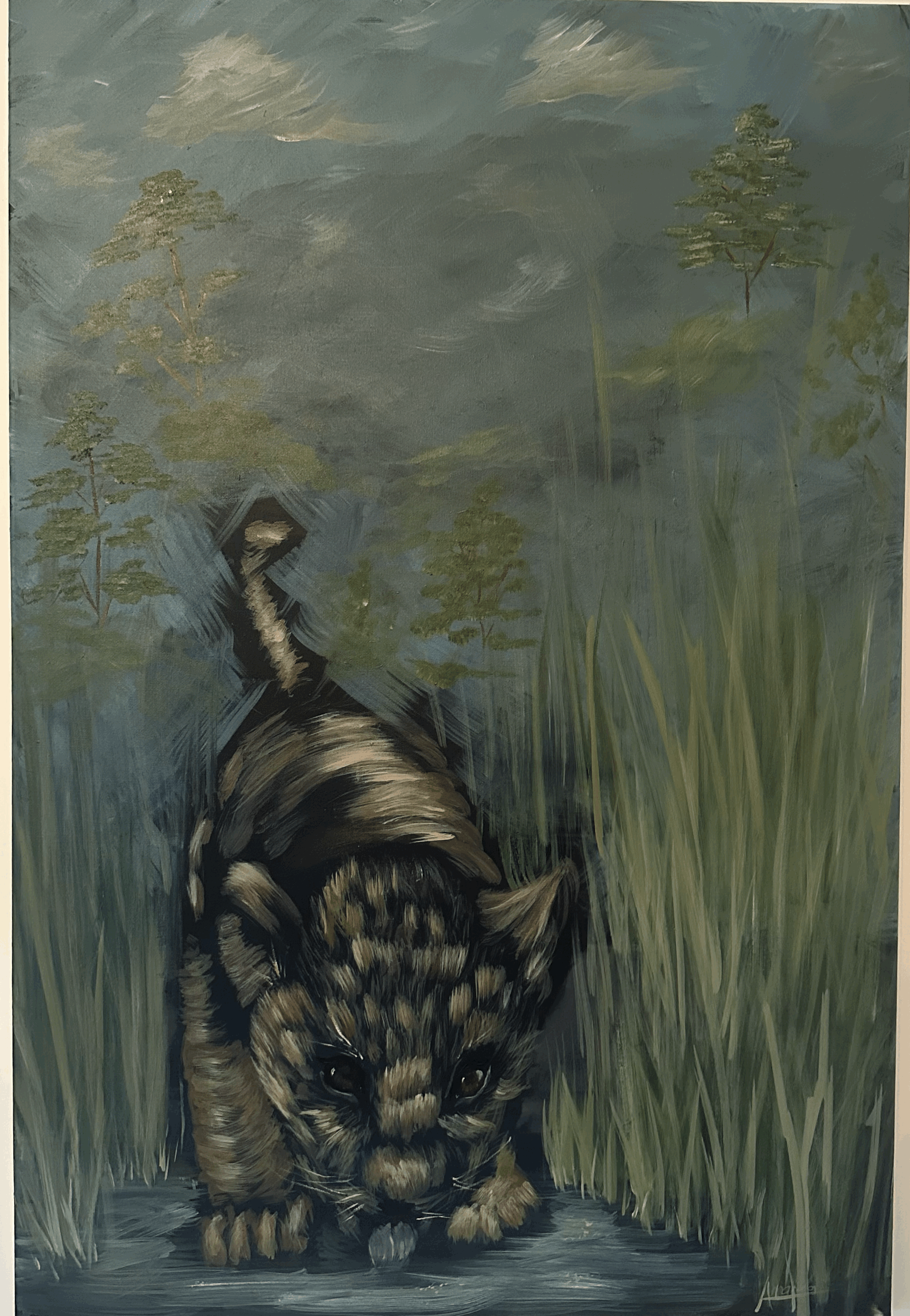 Lion cub drinking water