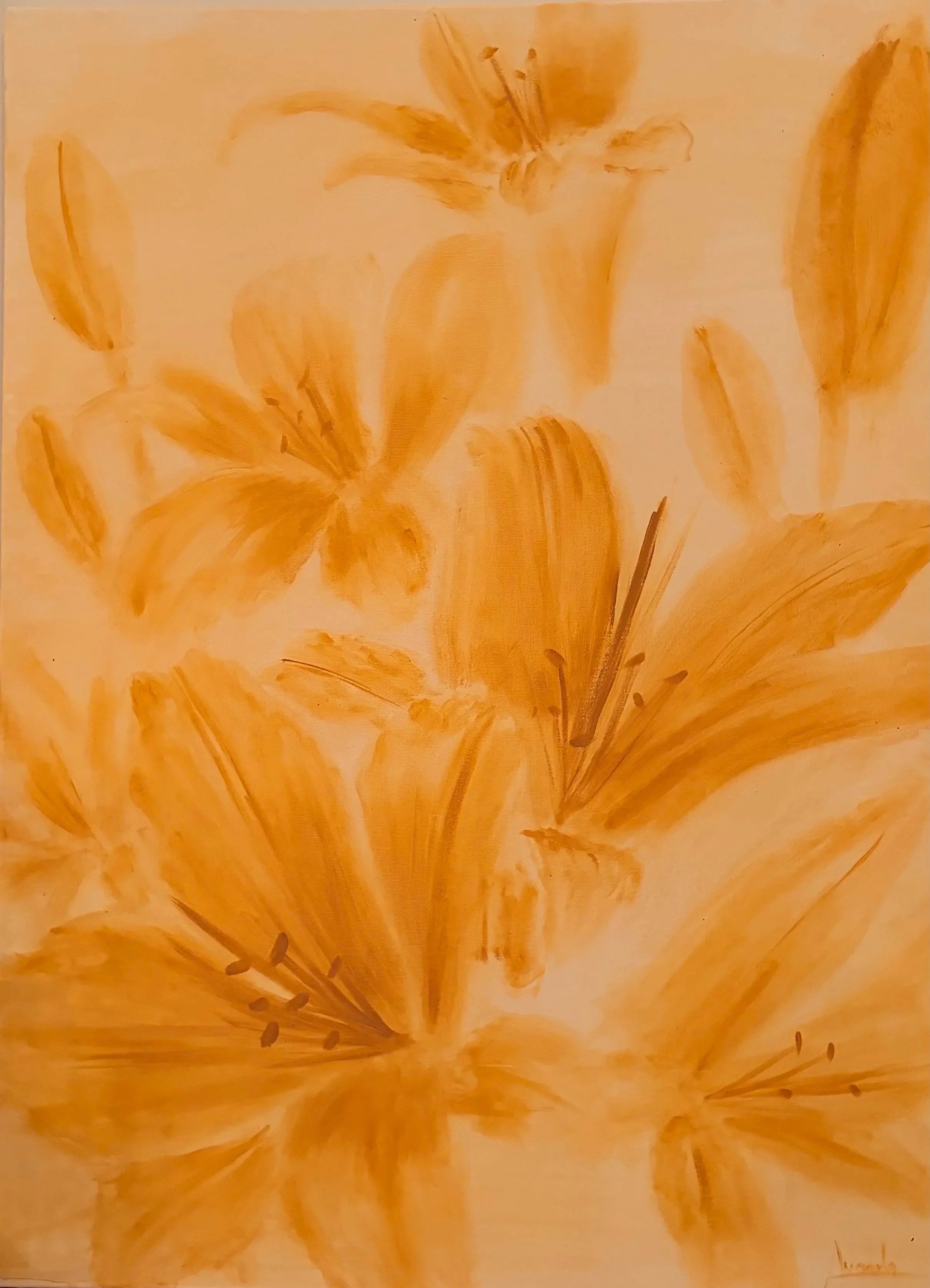 tempImagenxc2K5.jpg