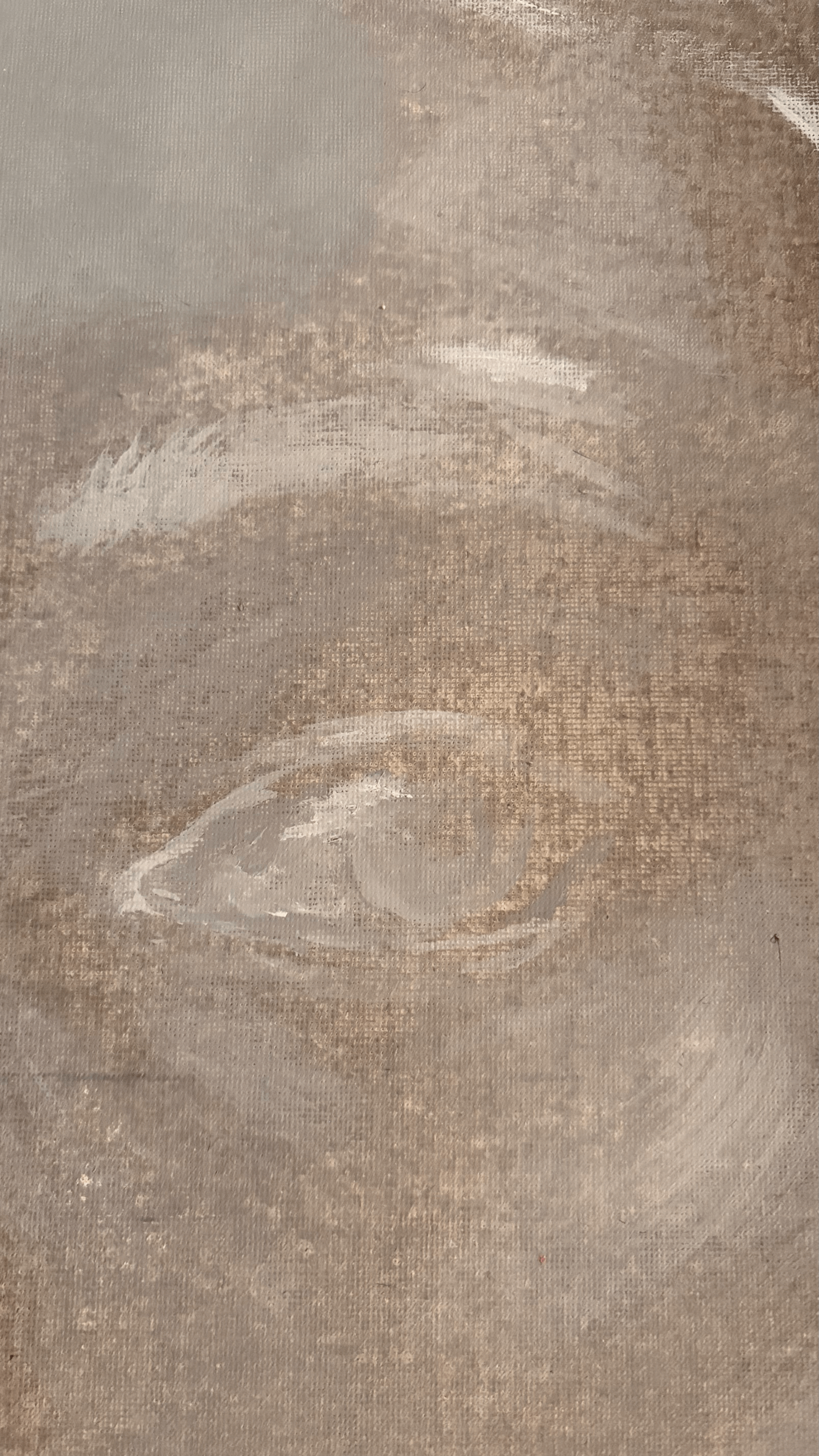 tempImageFnOo5n.gif