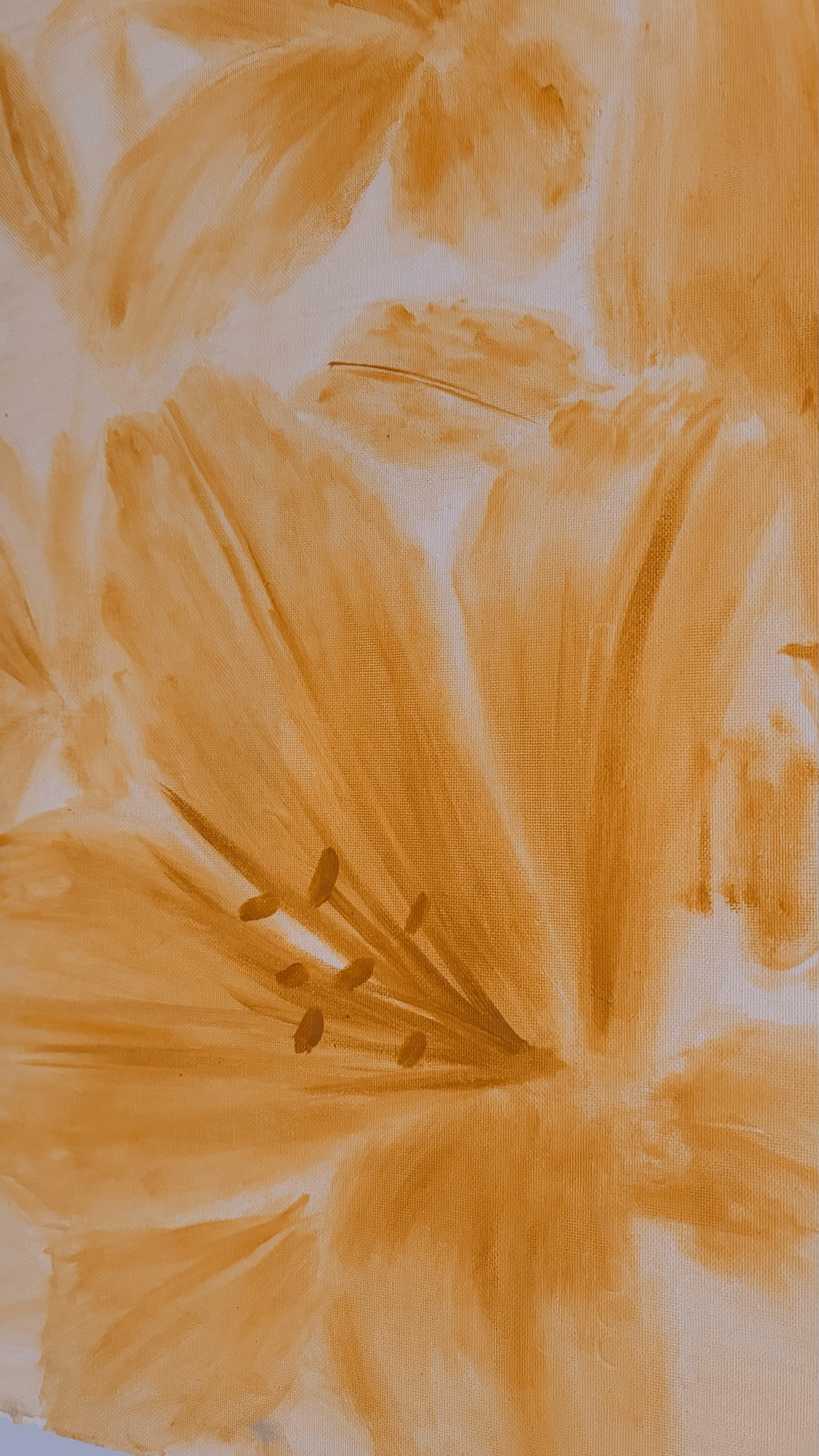 tempImageJDk38O.gif
