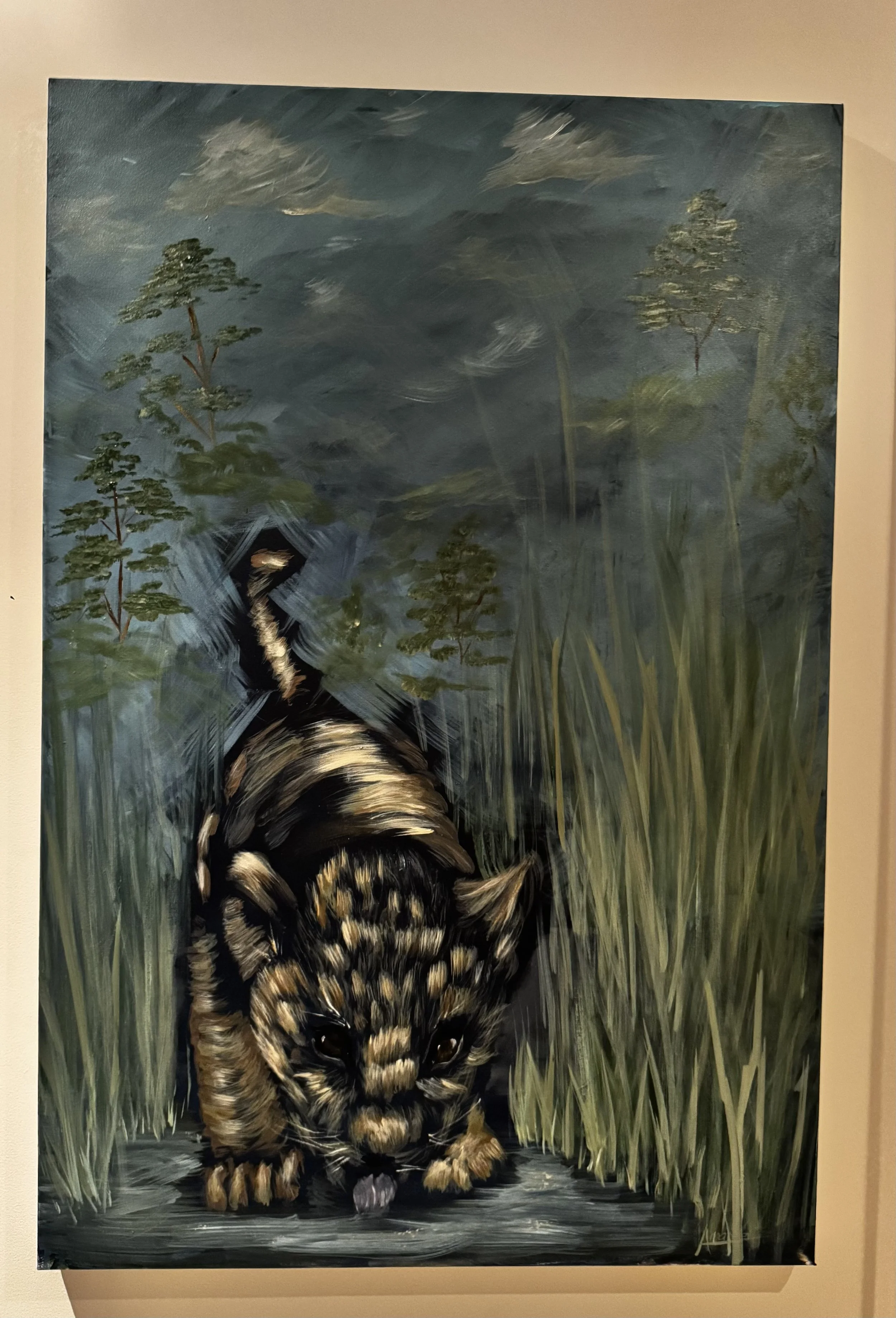 lion cub licking water picture 2.jpg