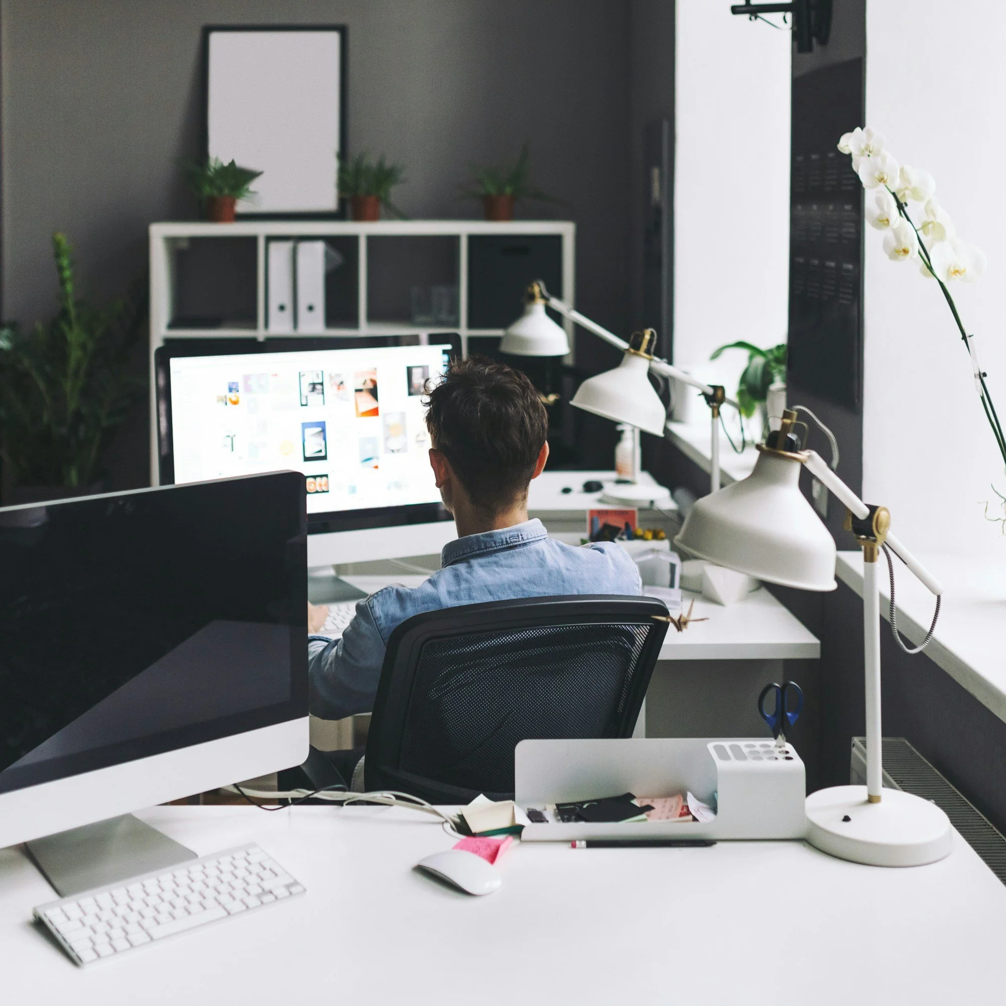 A person working at a cluttered white desk in an office, facing a computer monitor with a bright screen, with various plants and office supplies around.