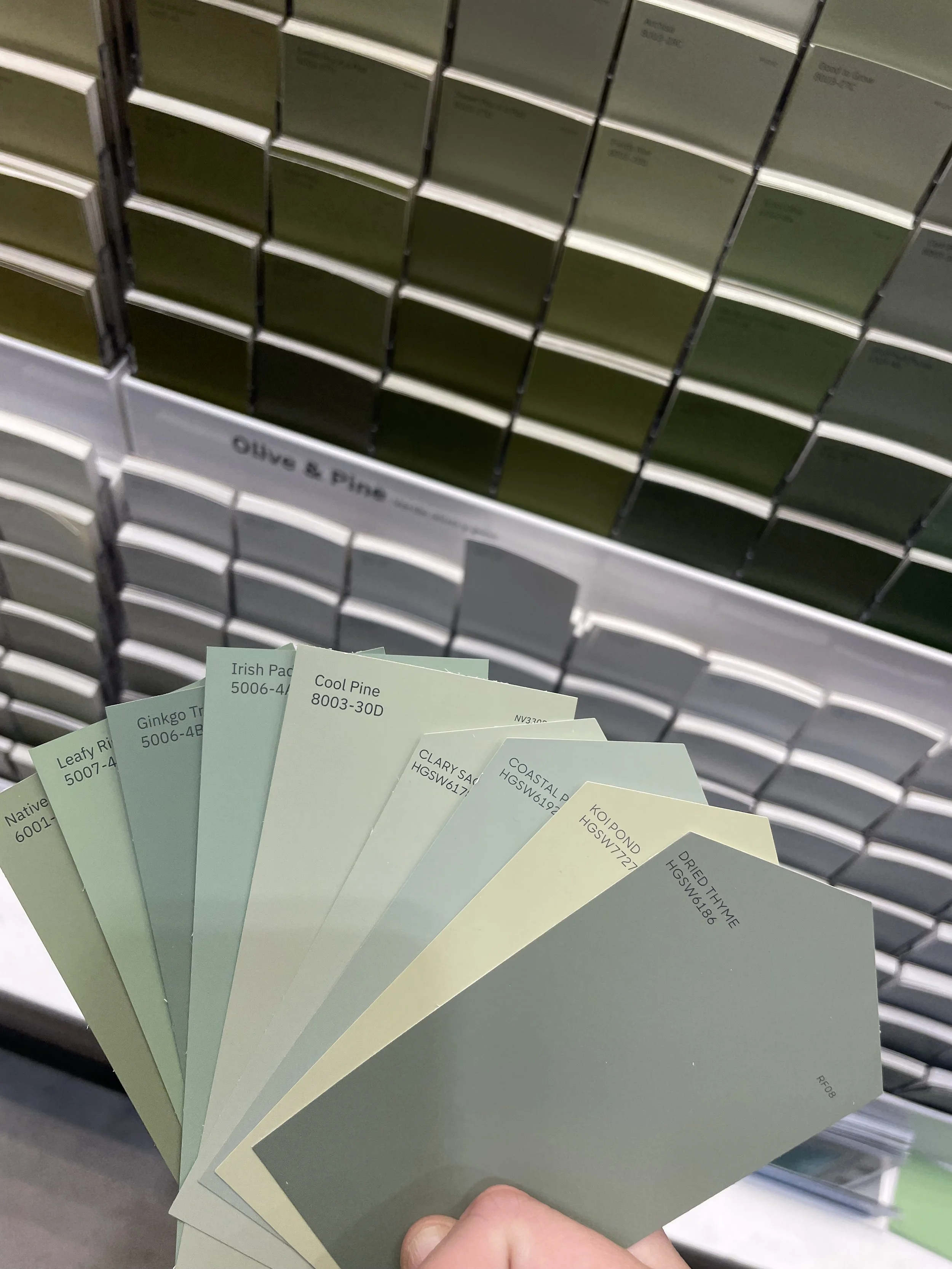 Color palette sample fan deck with shades of green and gray, labeled with names and codes, in a hardware store.