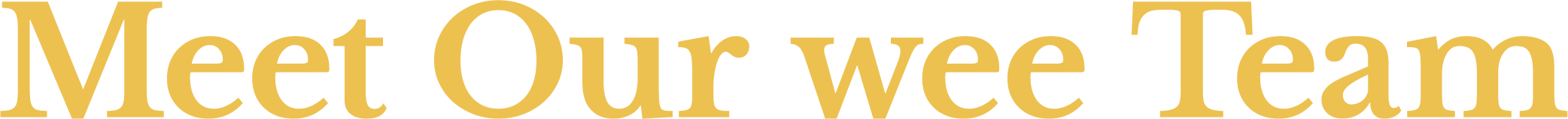 Text that reads 'Meet Our Wet Team' in large yellow font on a black background.