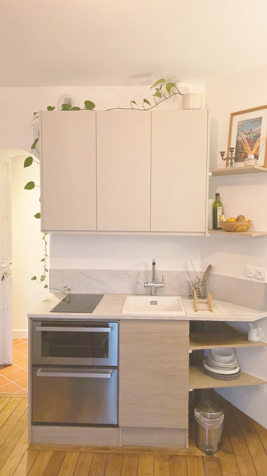 Une petite cuisine moderne avec un évier, une plaque de cuisson, des étagères avec des plantes, un cadre photo, un panier de fruits, et des assiettes, avec un sol en bois.